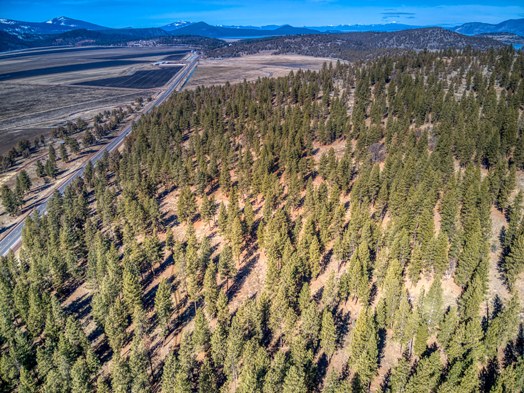 Cascade View Ranch property picture 7 of 32