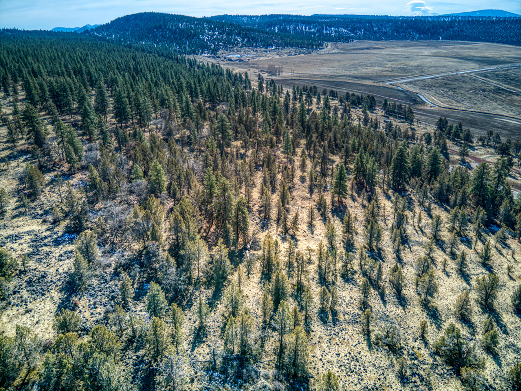 Cascade View Ranch property picture 18 of 32