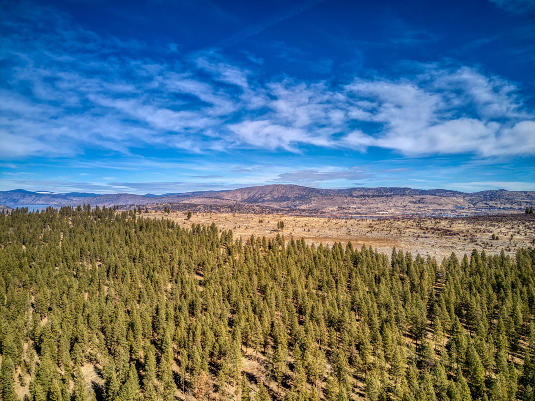Cascade View Ranch property picture 5 of 32