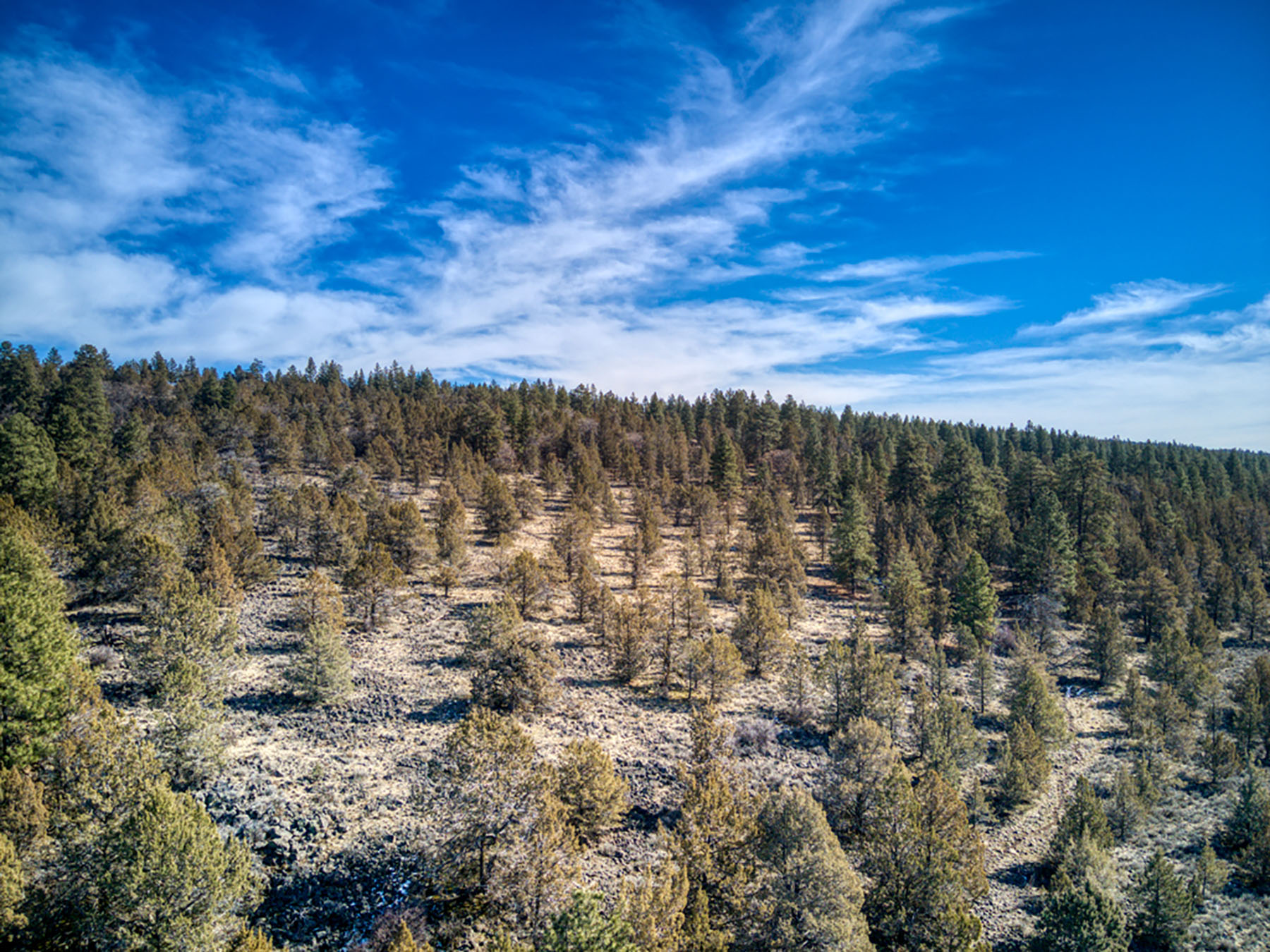 Cascade View Ranch property picture 11 of 32