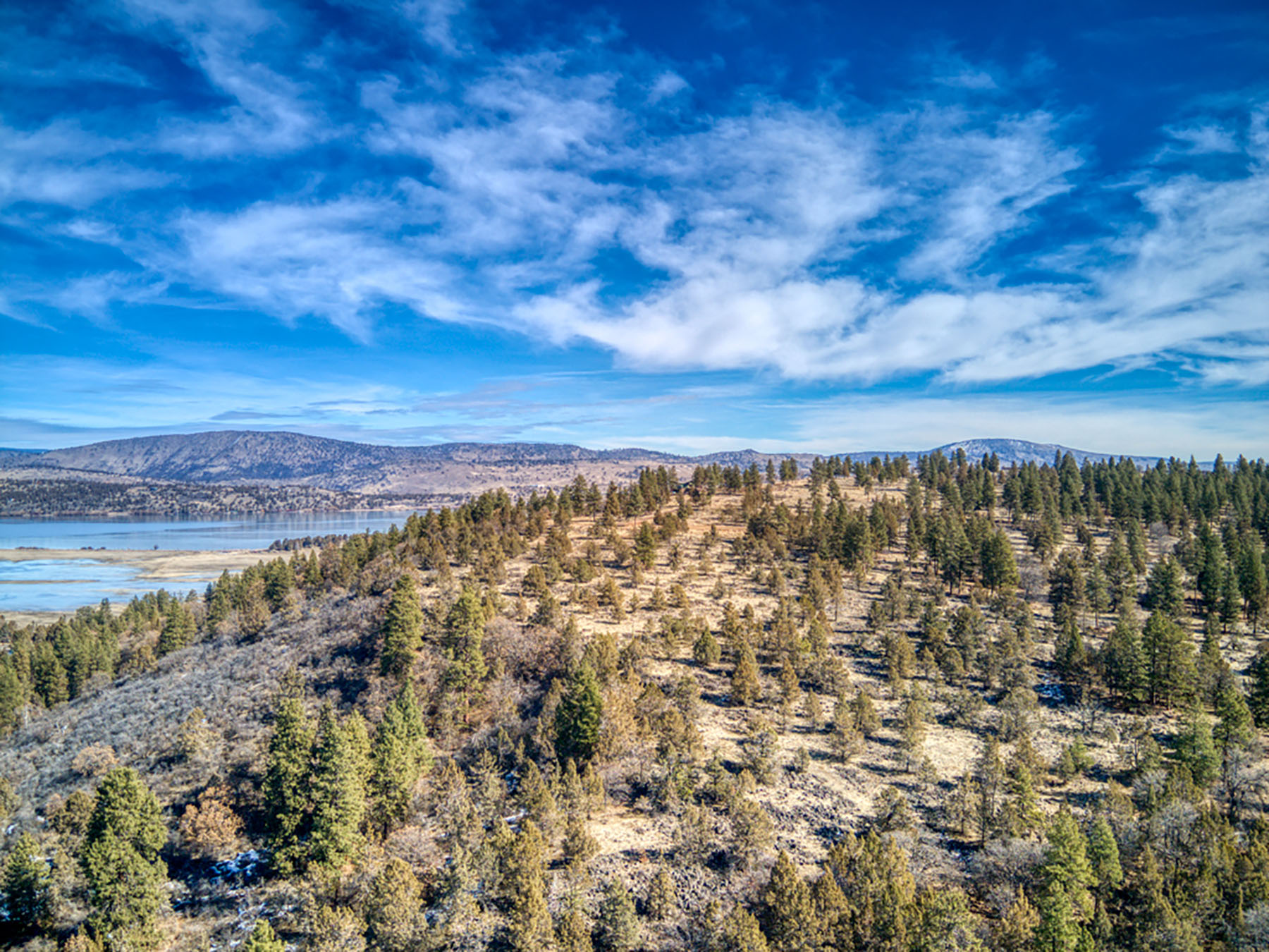 Cascade View Ranch property picture 13 of 32