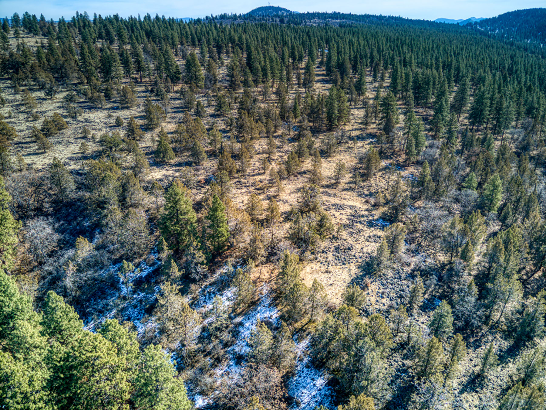 Cascade View Ranch property picture 17 of 32