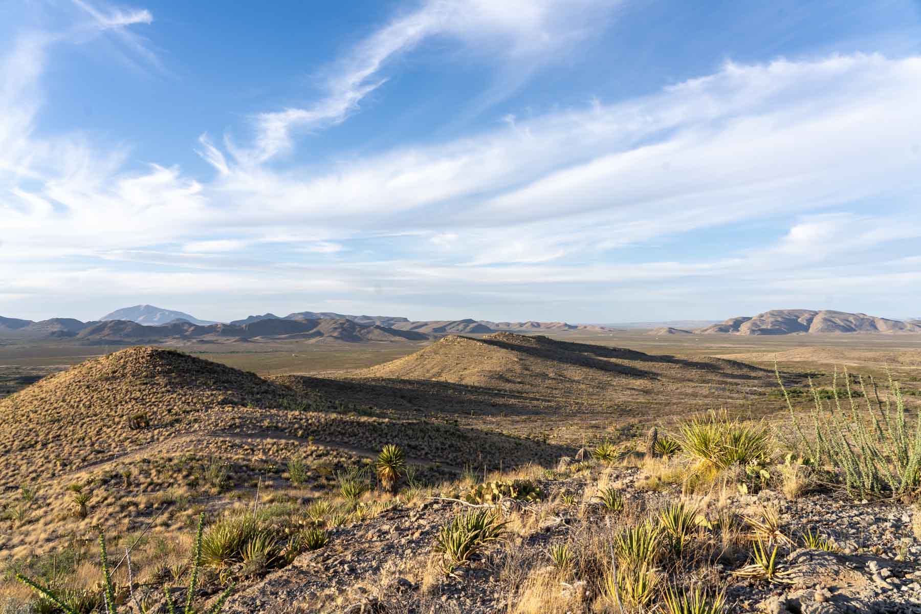 Quitman Canyon Ranch property picture 17 of 50