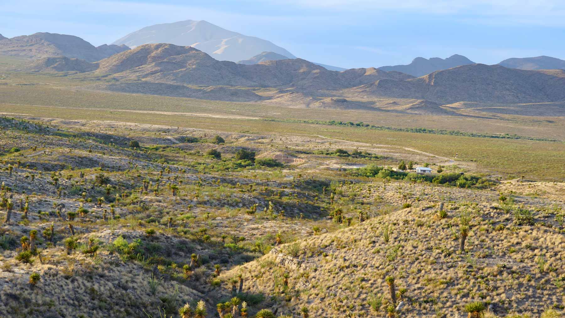 Quitman Canyon Ranch property picture 23 of 50