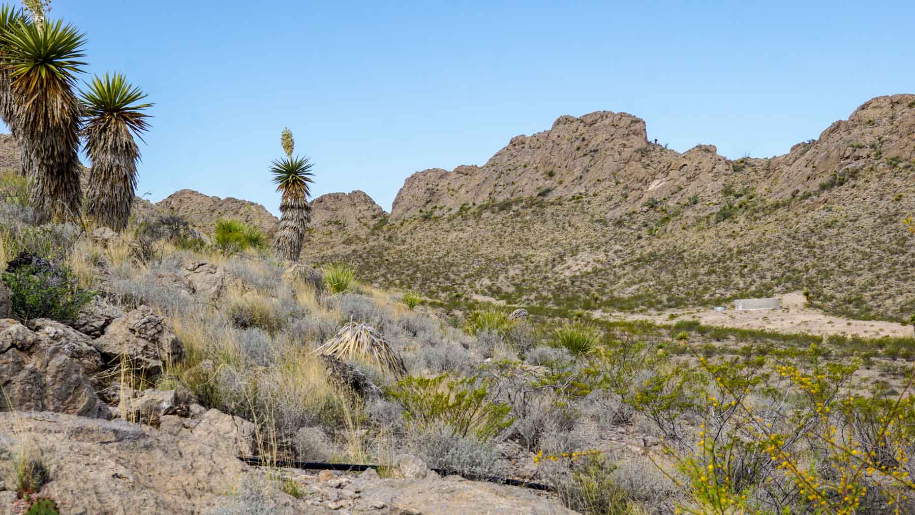 Quitman Canyon Ranch property picture 40 of 50