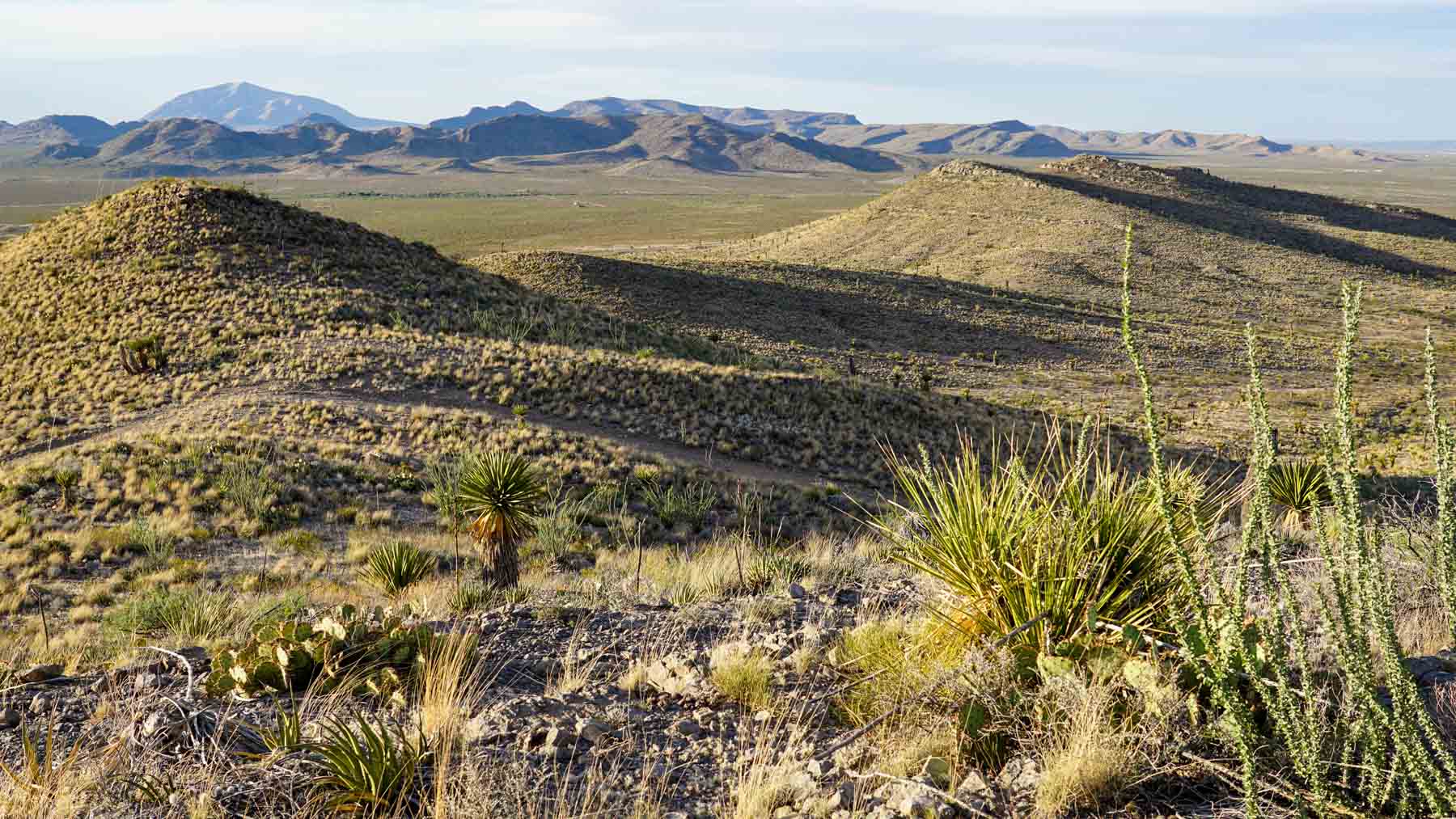 Quitman Canyon Ranch property picture 22 of 50