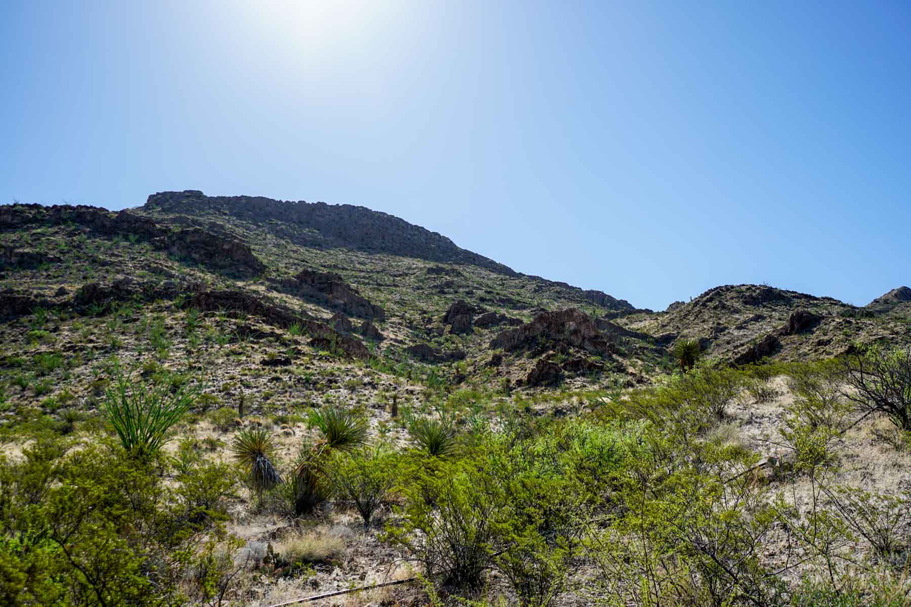 Quitman Canyon Ranch property picture 38 of 50