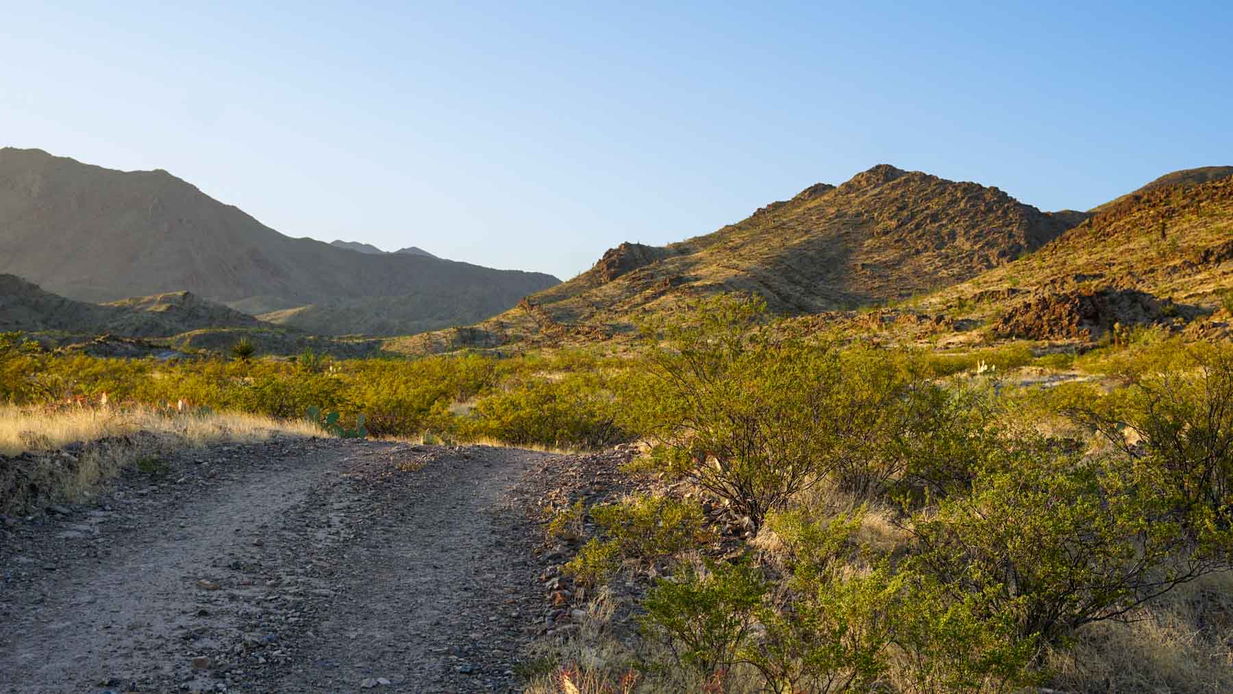 Quitman Canyon Ranch property picture 45 of 50
