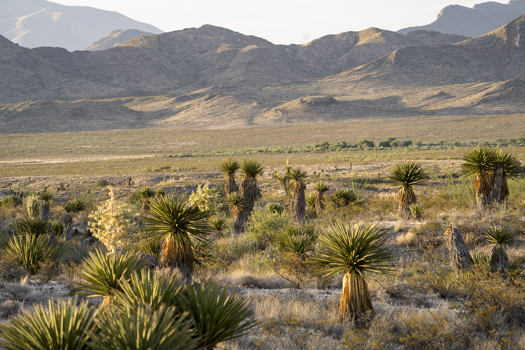 Quitman Canyon Ranch property picture 4 of 50