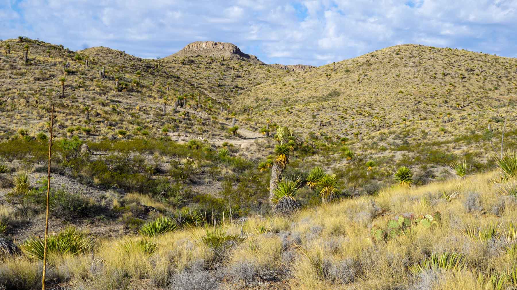 Quitman Canyon Ranch property picture 34 of 50