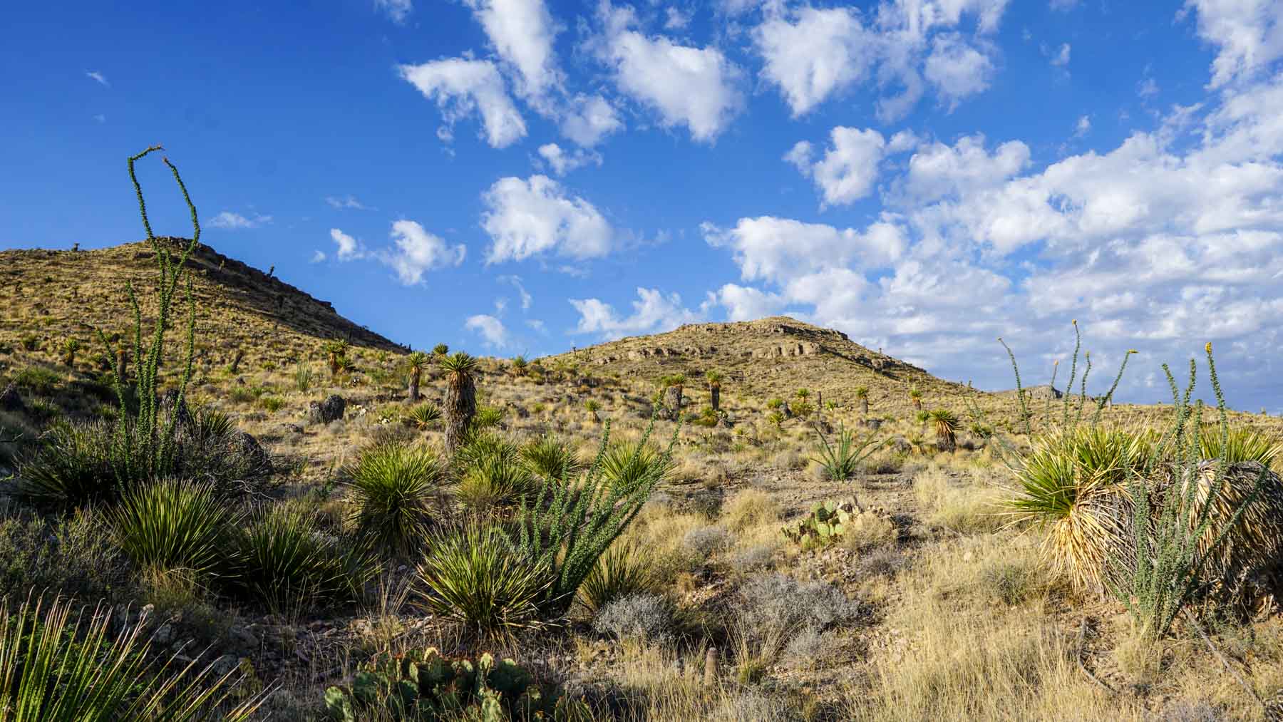 Quitman Canyon Ranch property picture 32 of 50