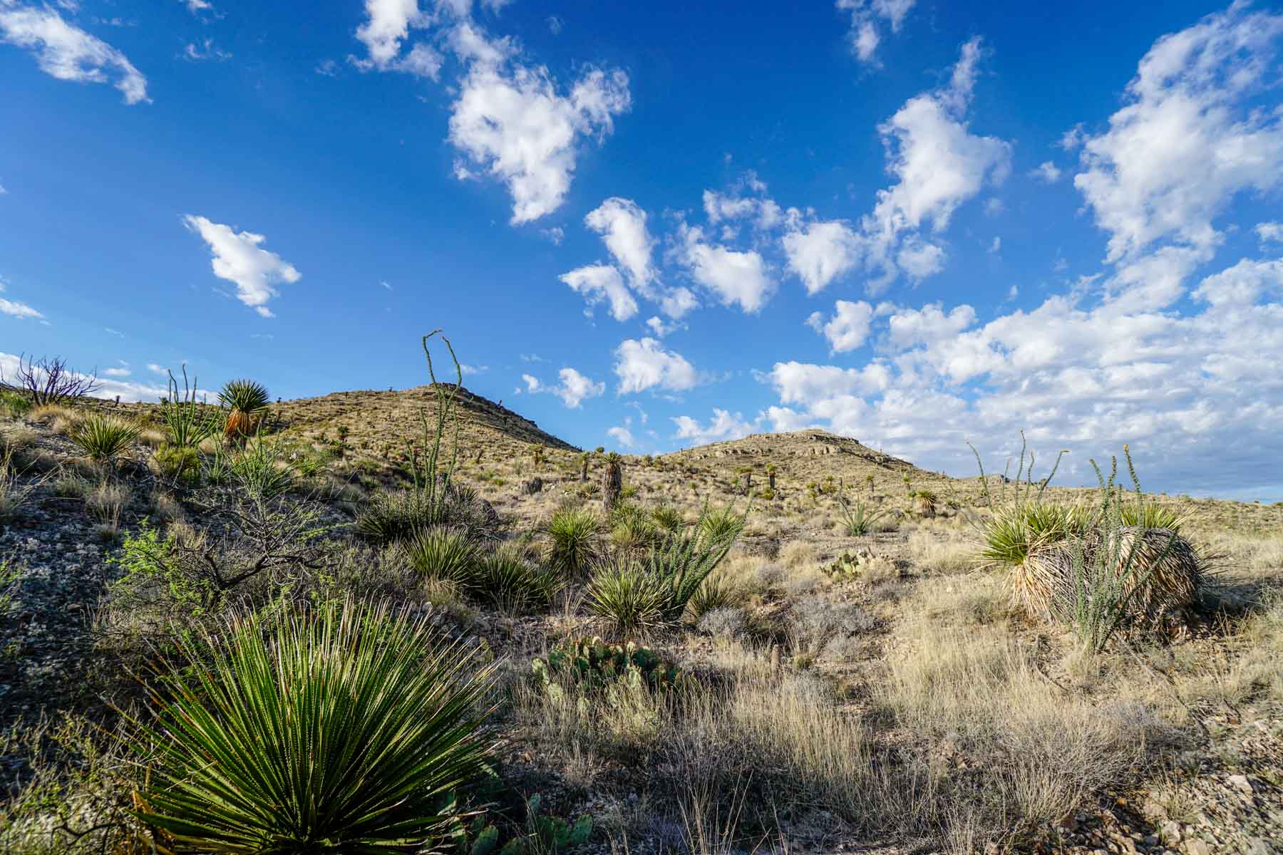 Quitman Canyon Ranch property picture 28 of 50