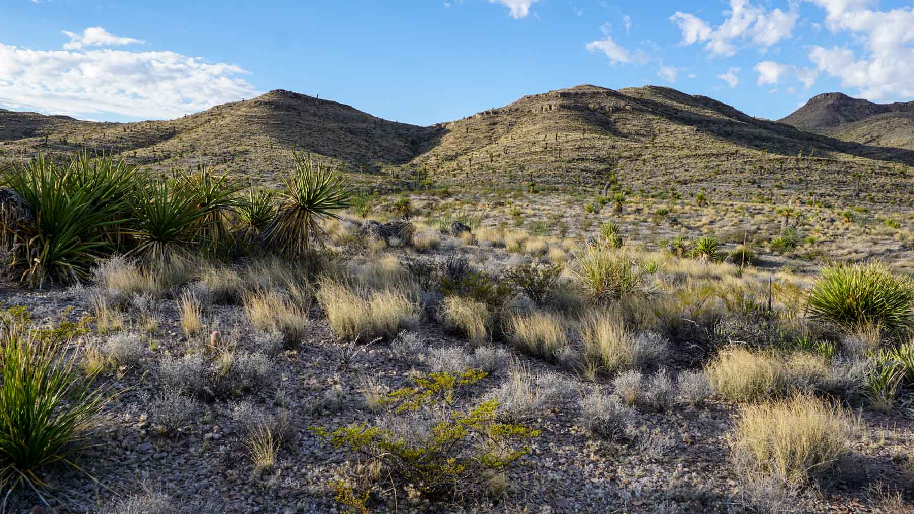 Quitman Canyon Ranch property picture 33 of 50