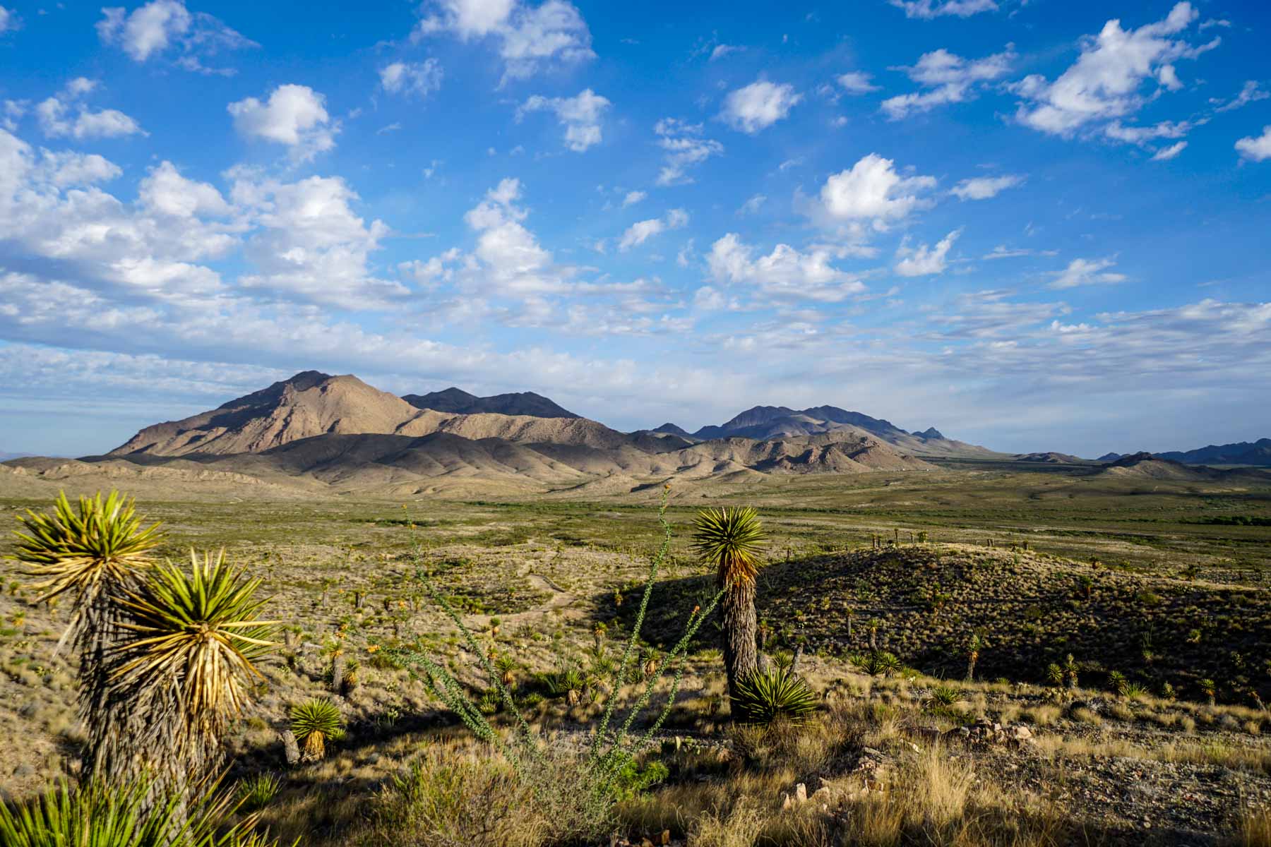Quitman Canyon Ranch property picture 27 of 50