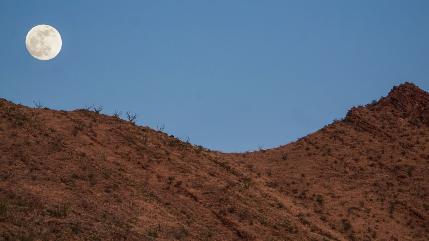 Quitman Canyon Ranch property picture 49 of 50