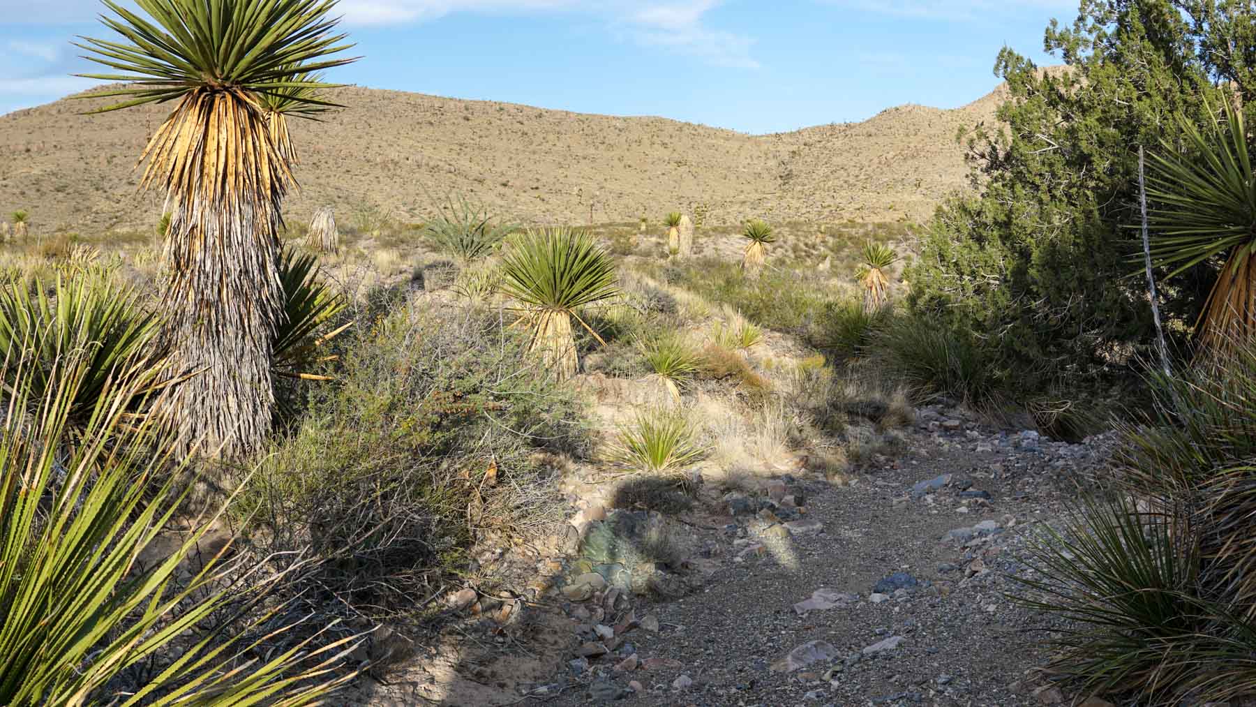 Quitman Canyon Ranch property picture 21 of 50