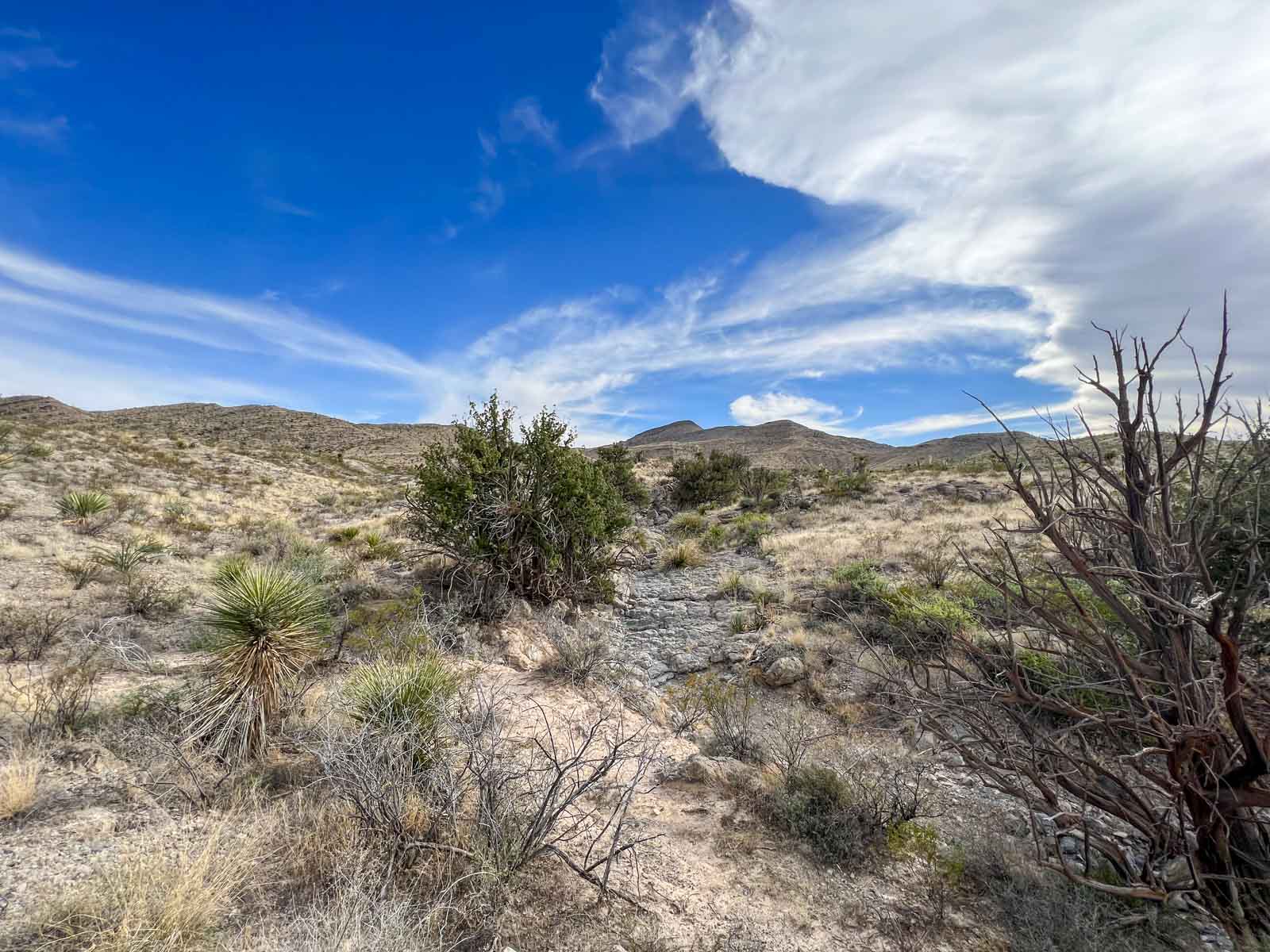 Quitman Canyon Ranch property picture 6 of 50