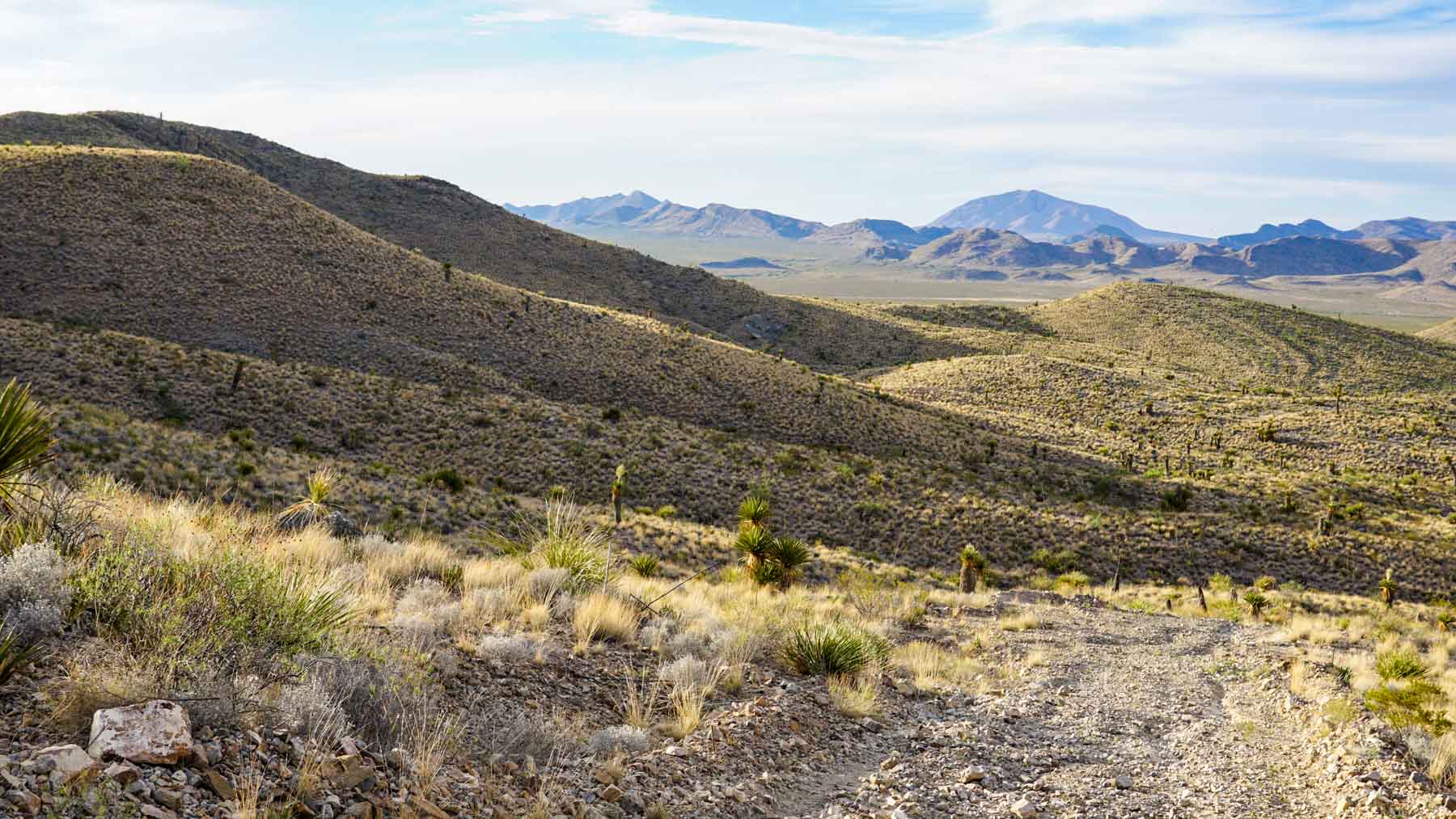 Quitman Canyon Ranch property picture 19 of 50