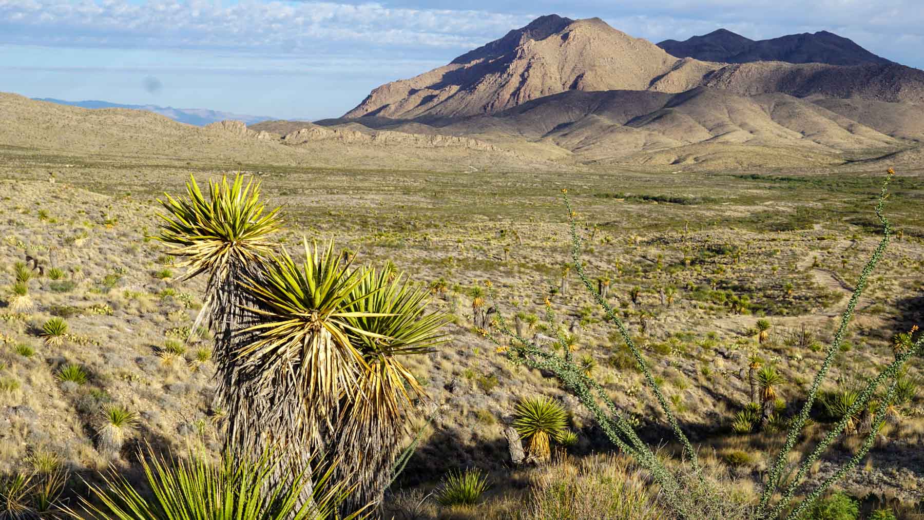 Quitman Canyon Ranch property picture 31 of 50