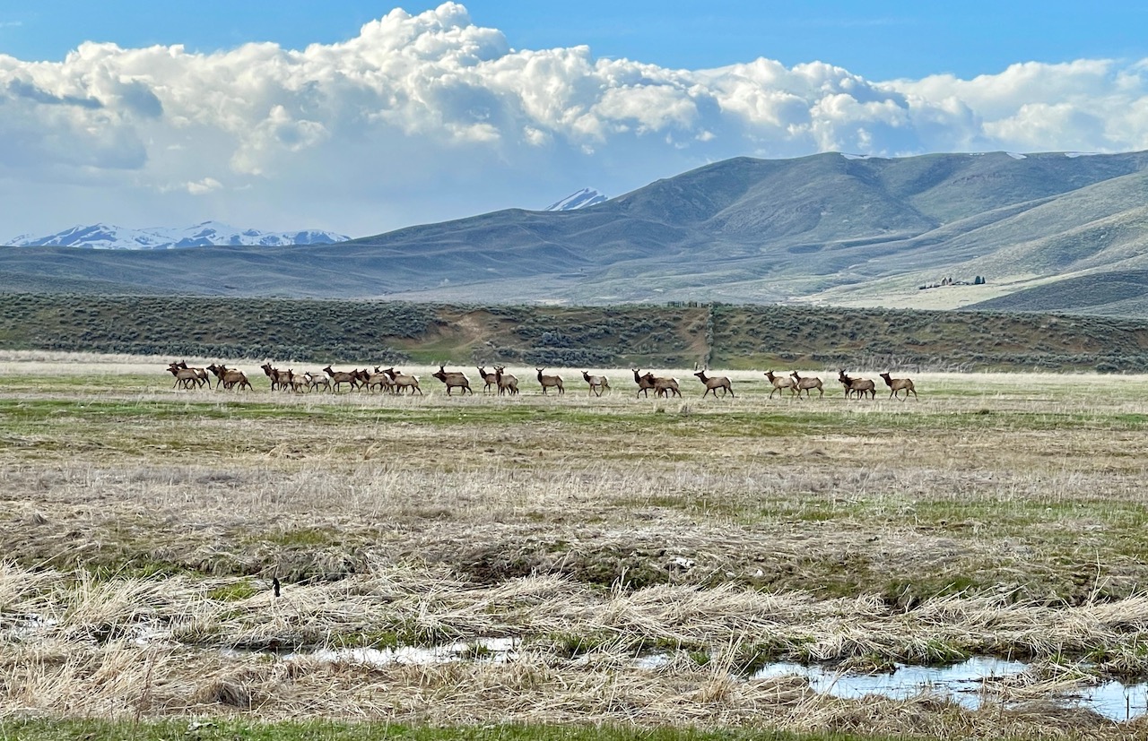 Wood River Ranch property picture 111 of 113