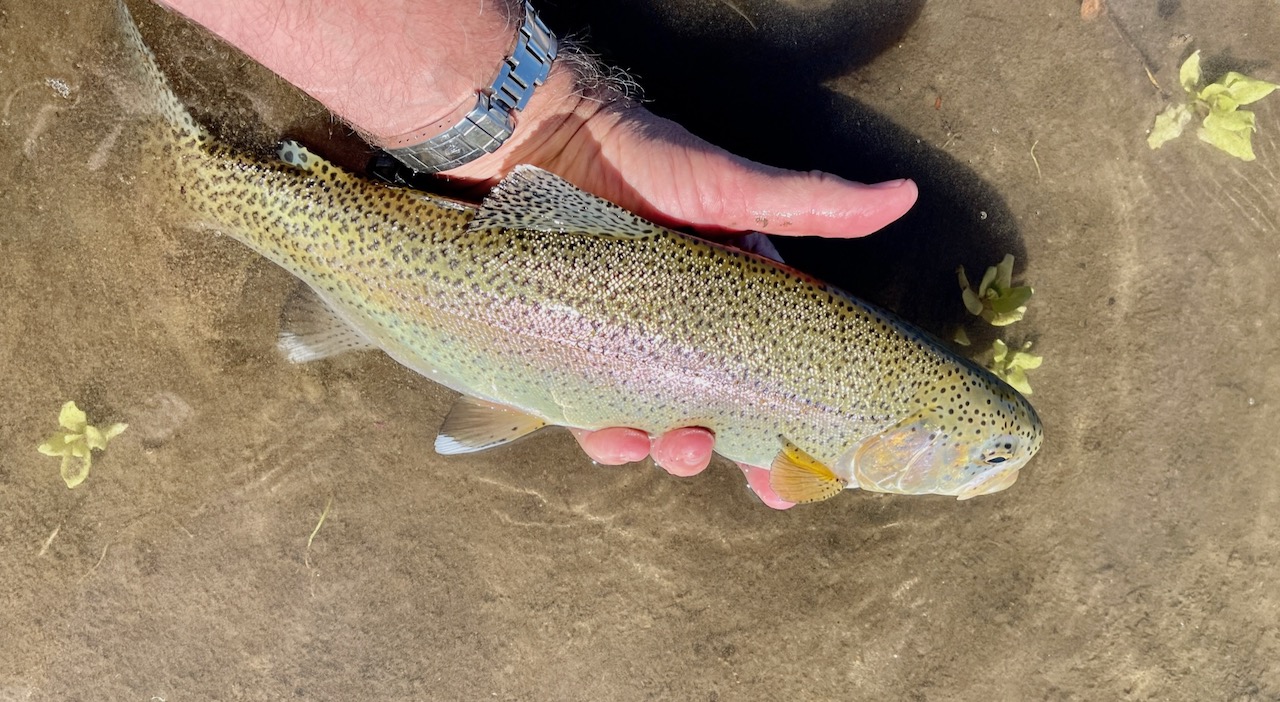 Wood River Ranch property picture 108 of 113