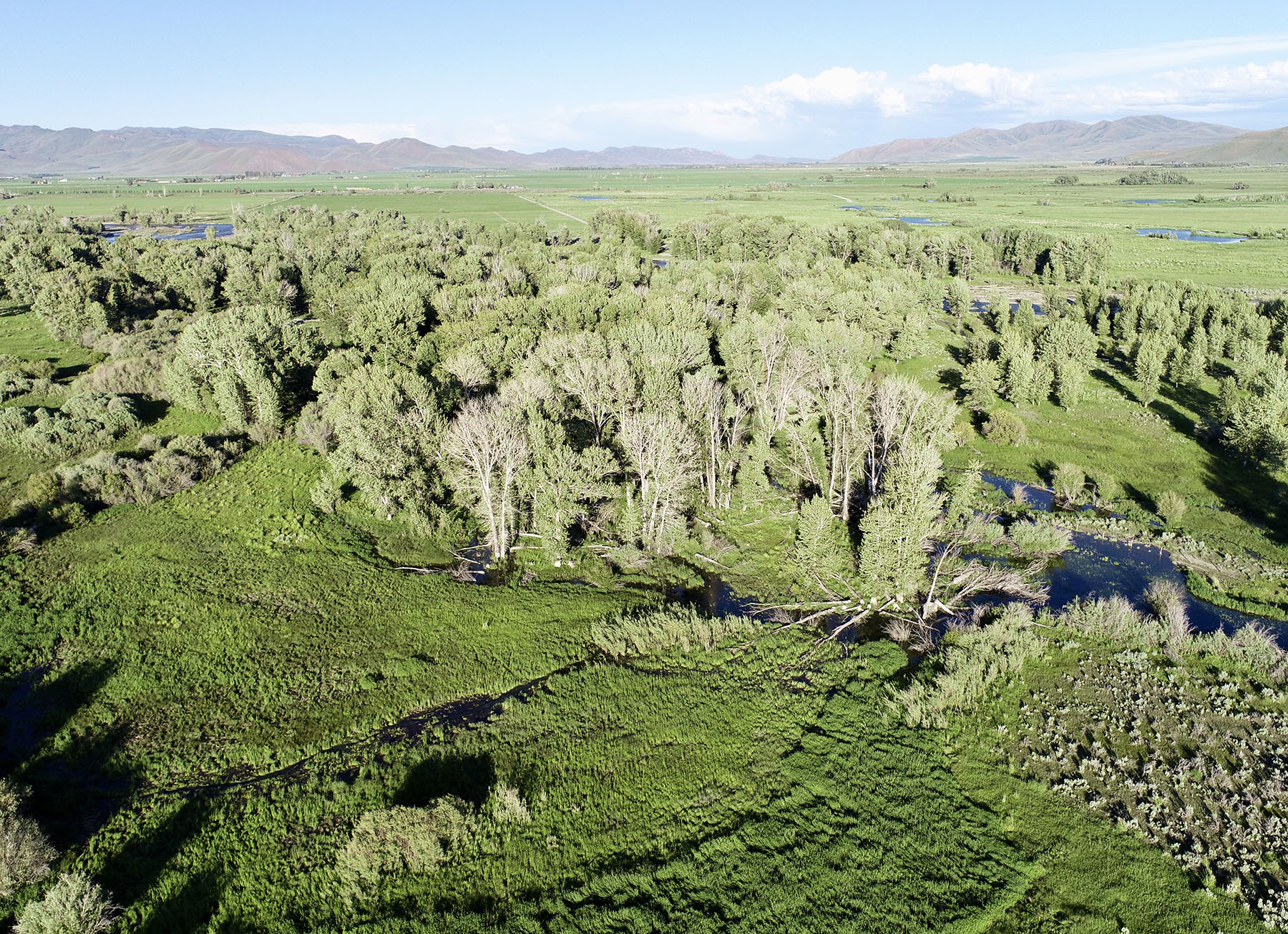 Wood River Ranch property picture 15 of 113