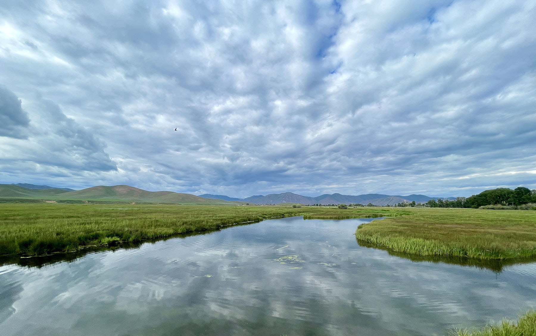 Wood River Ranch property picture 68 of 113