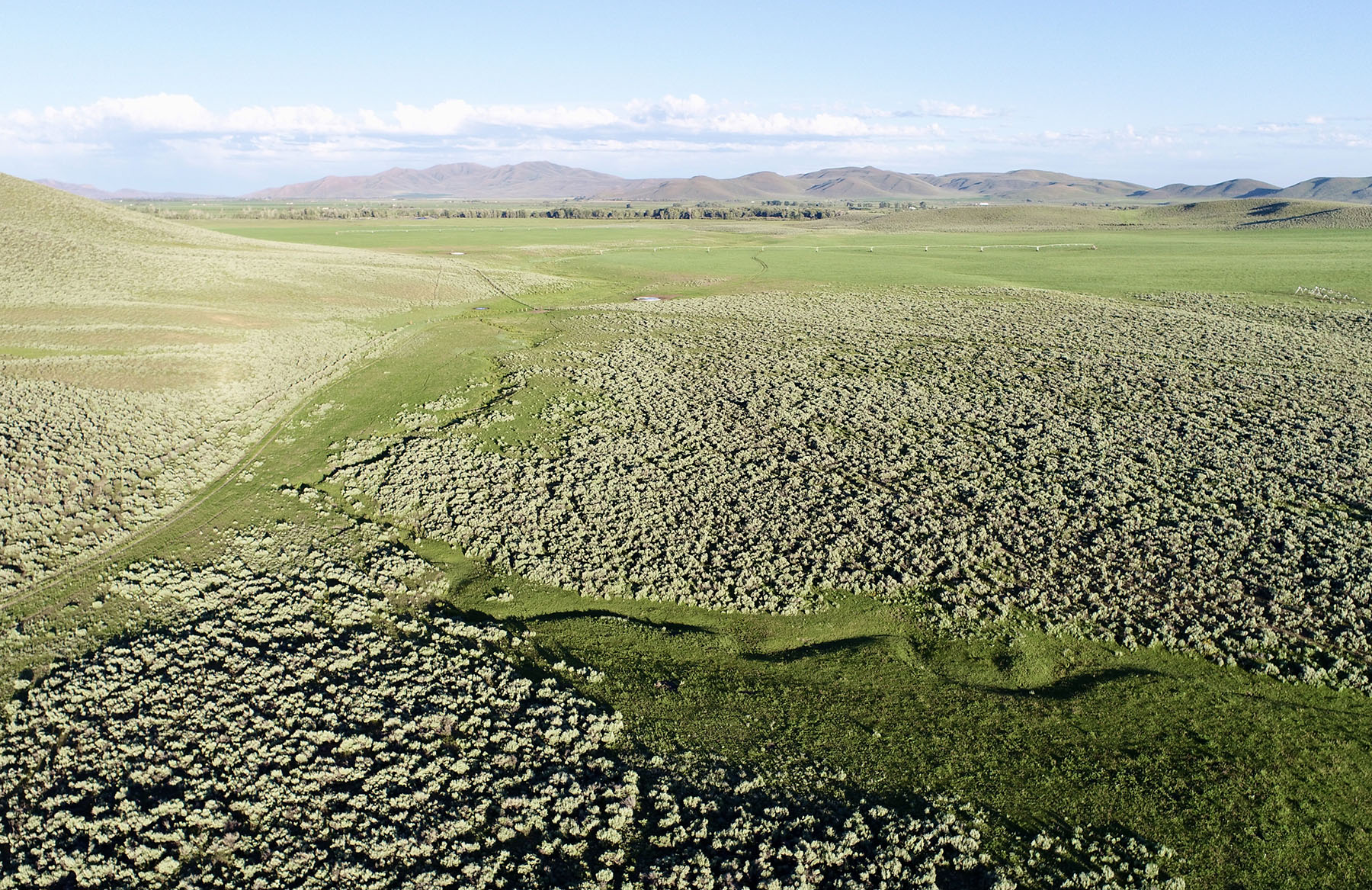 Wood River Ranch property picture 96 of 113