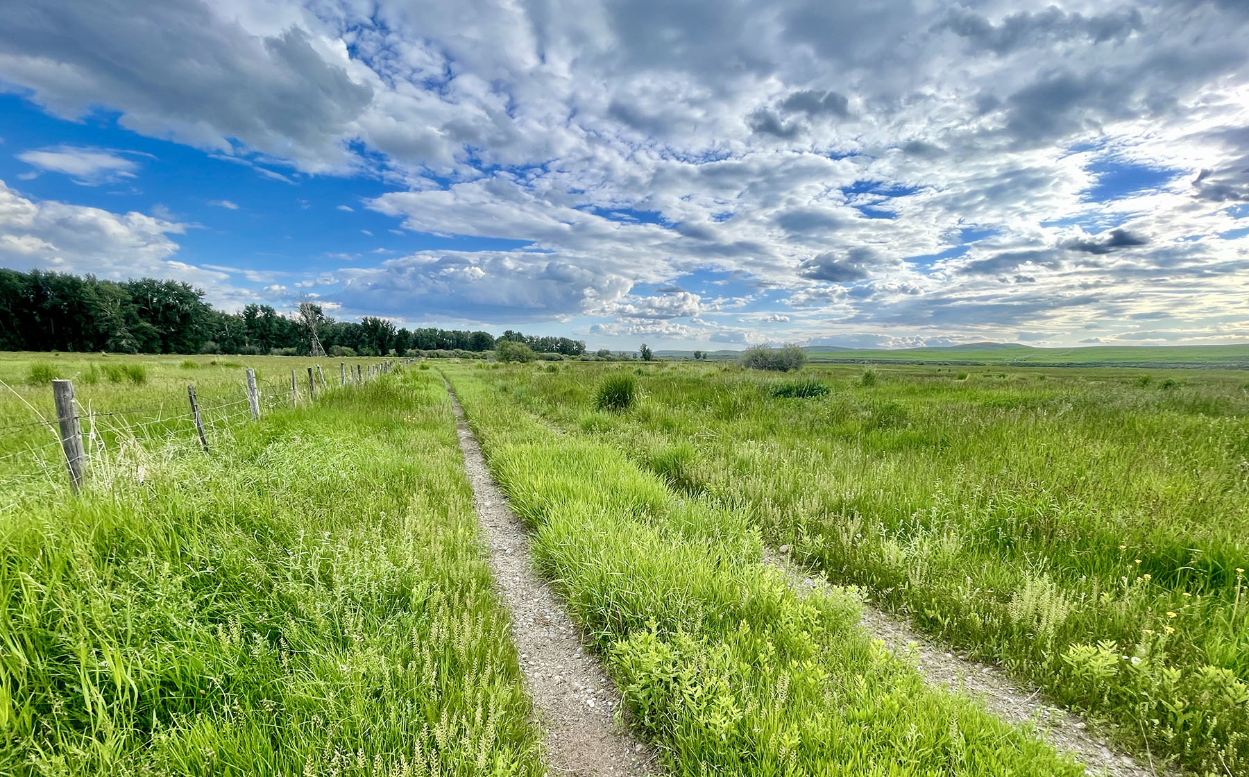 Wood River Ranch property picture 14 of 113