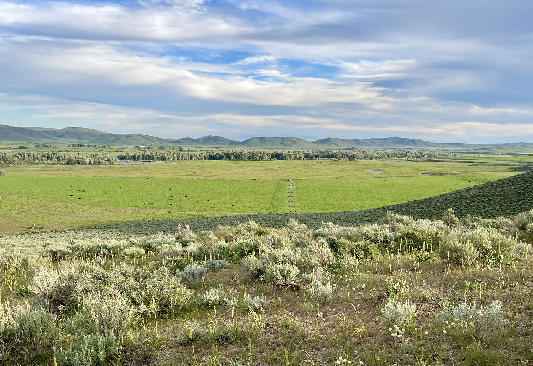 Wood River Ranch property picture 58 of 113