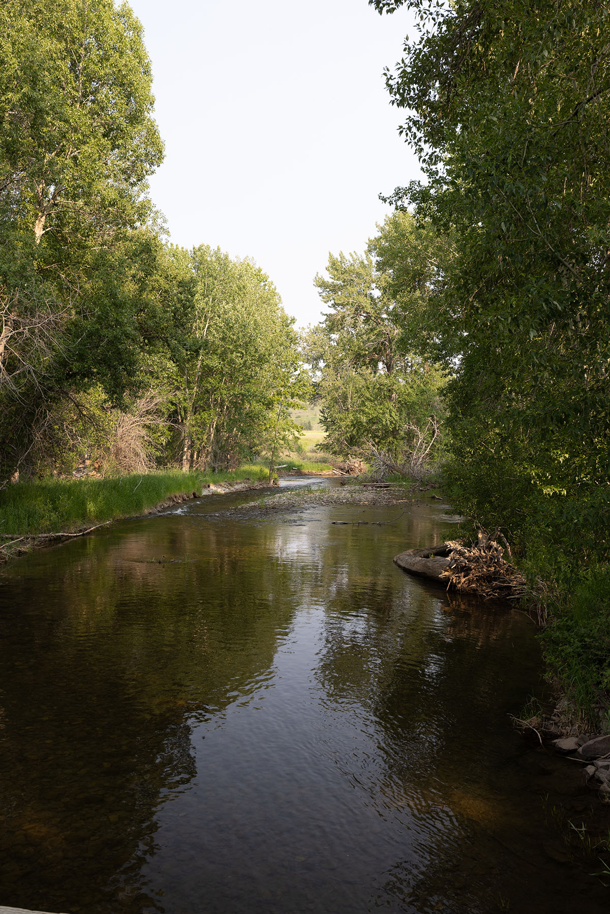 Cole Creek Homestead property picture 8 of 26