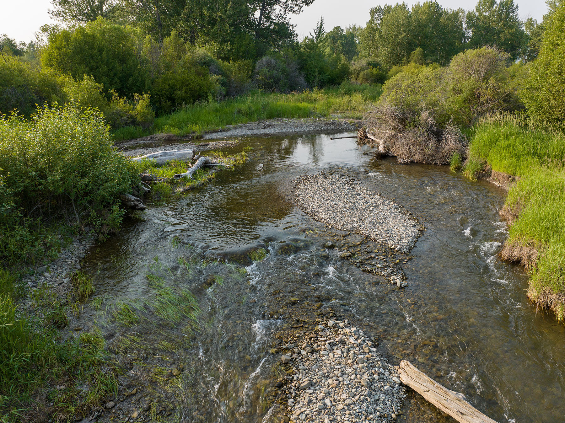 Cole Creek Homestead property picture 22 of 26