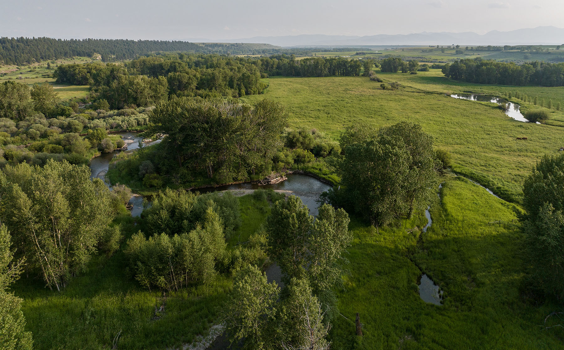 Cole Creek Homestead property picture 5 of 26