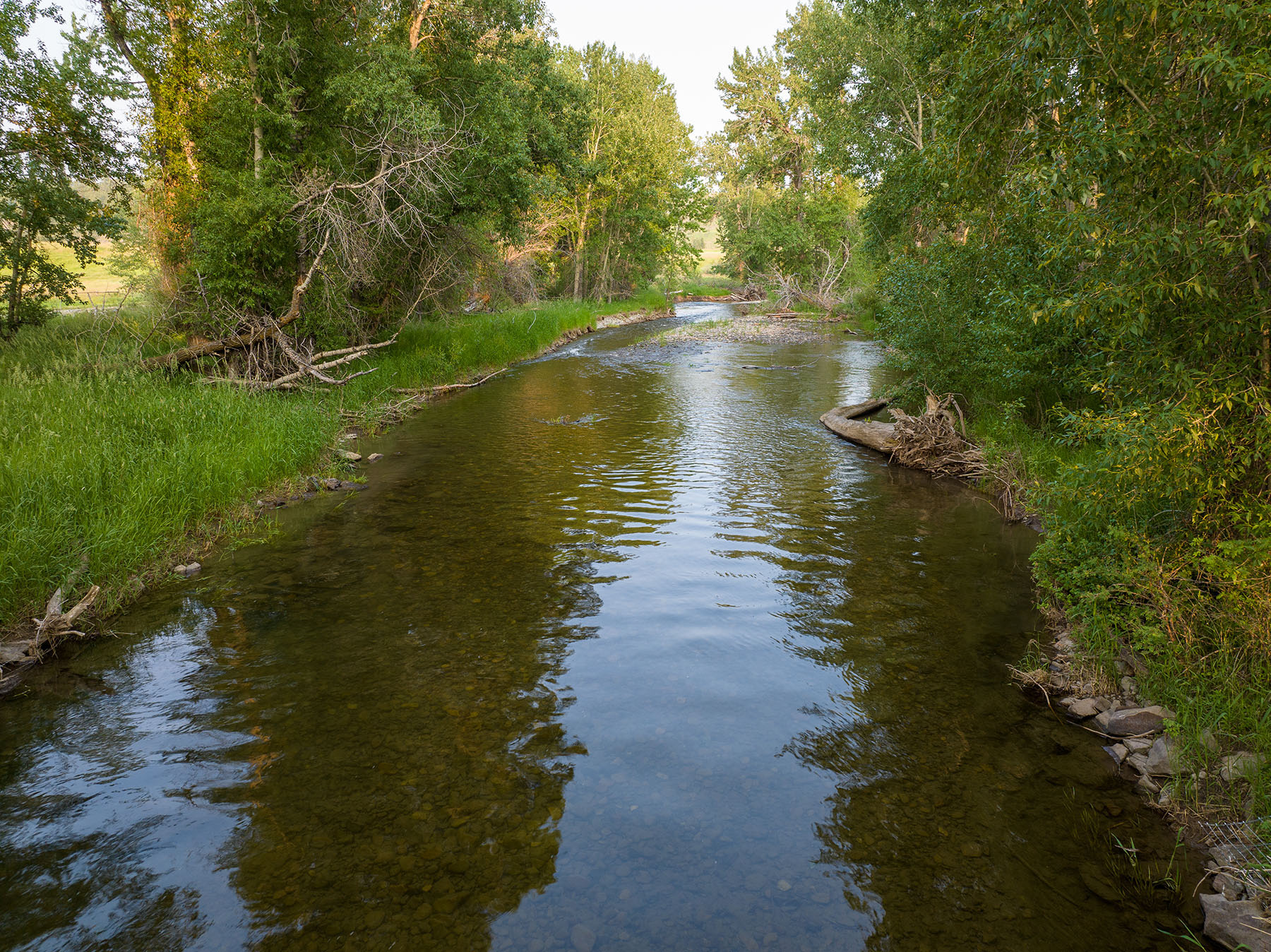 Cole Creek Homestead property picture 19 of 26