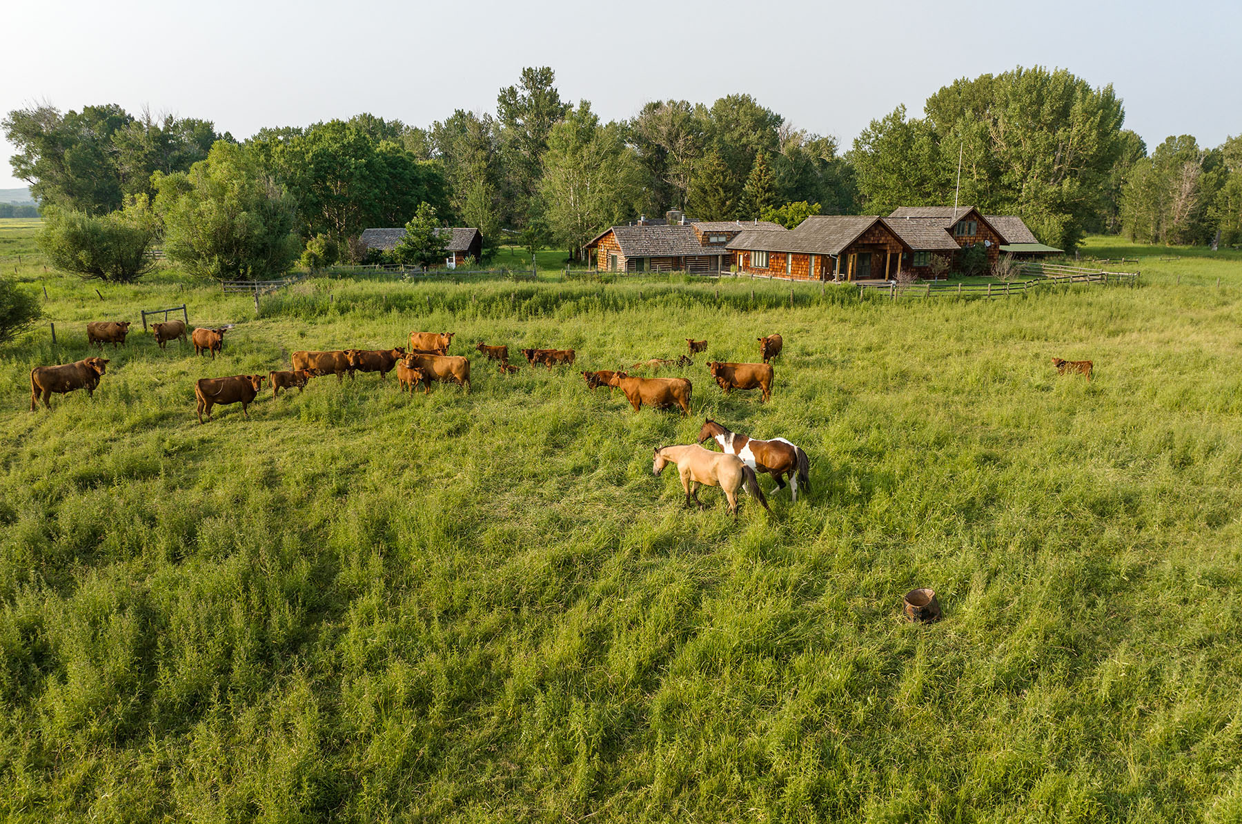 Cole Creek Homestead property picture 13 of 26