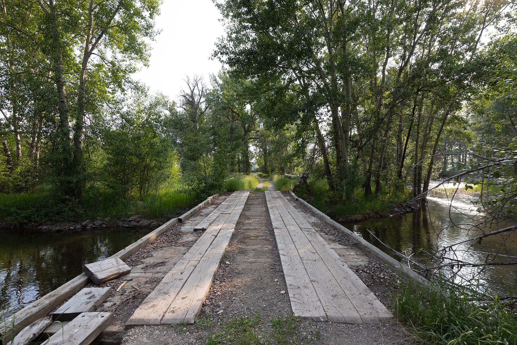 Cole Creek Homestead property picture 18 of 26