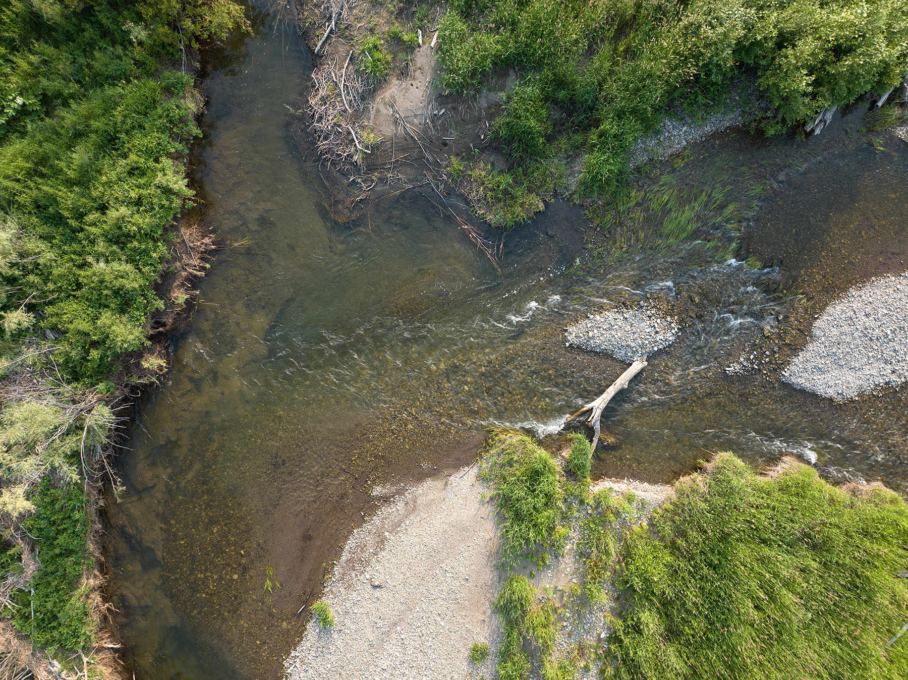 Cole Creek Homestead property picture 23 of 26