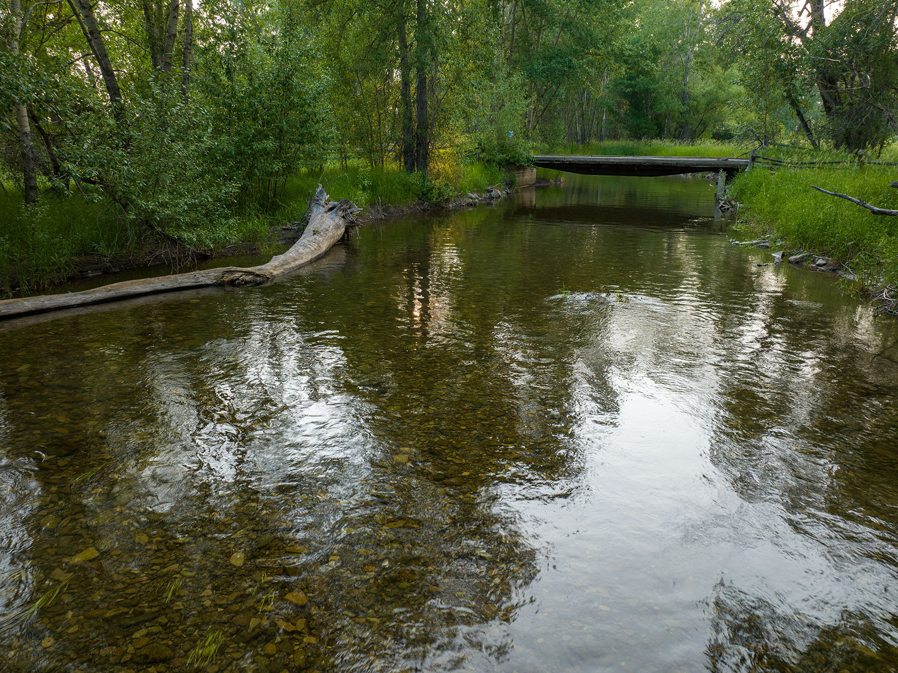 Cole Creek Homestead property picture 25 of 26