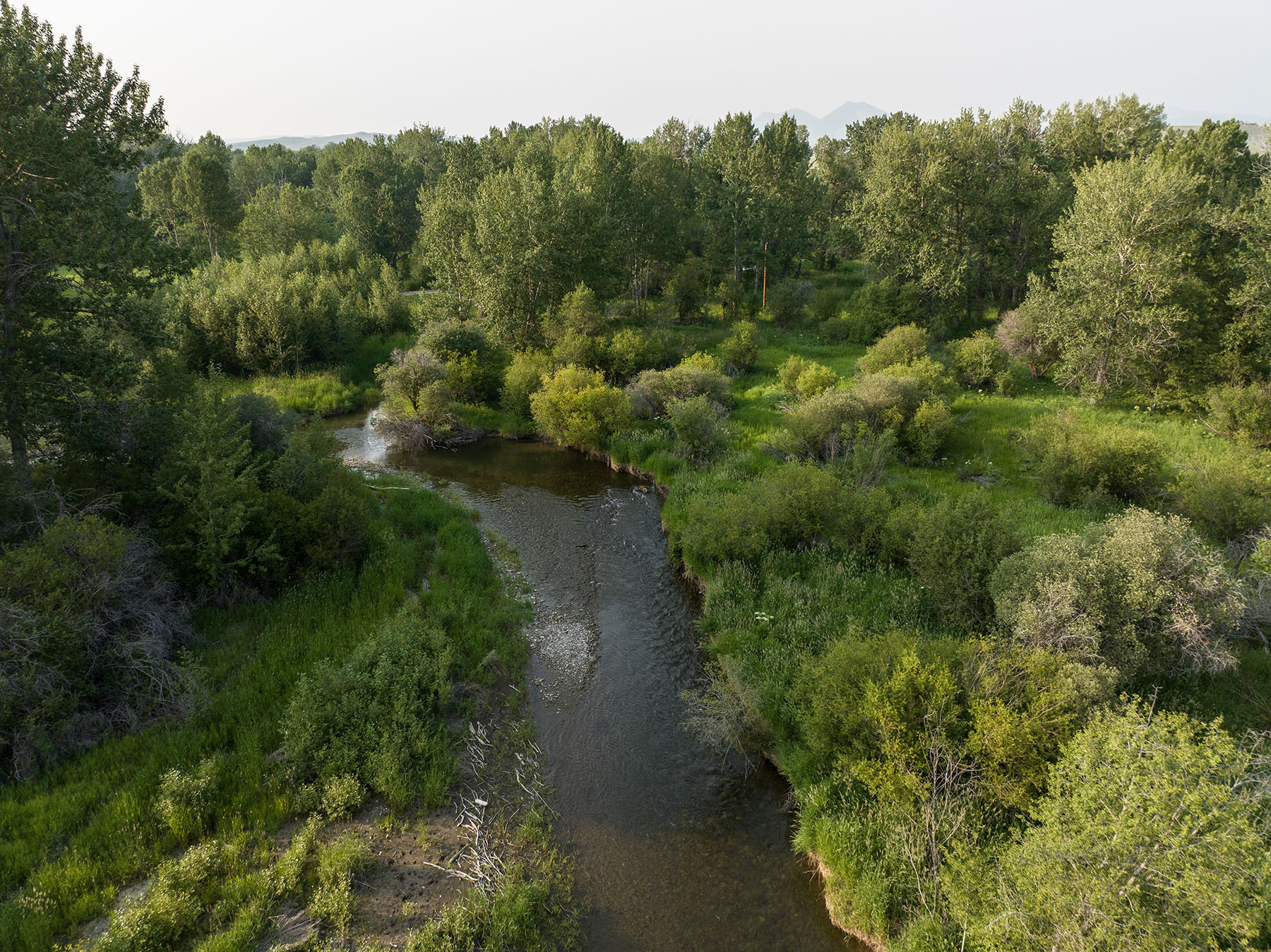 Cole Creek Homestead property picture 10 of 26