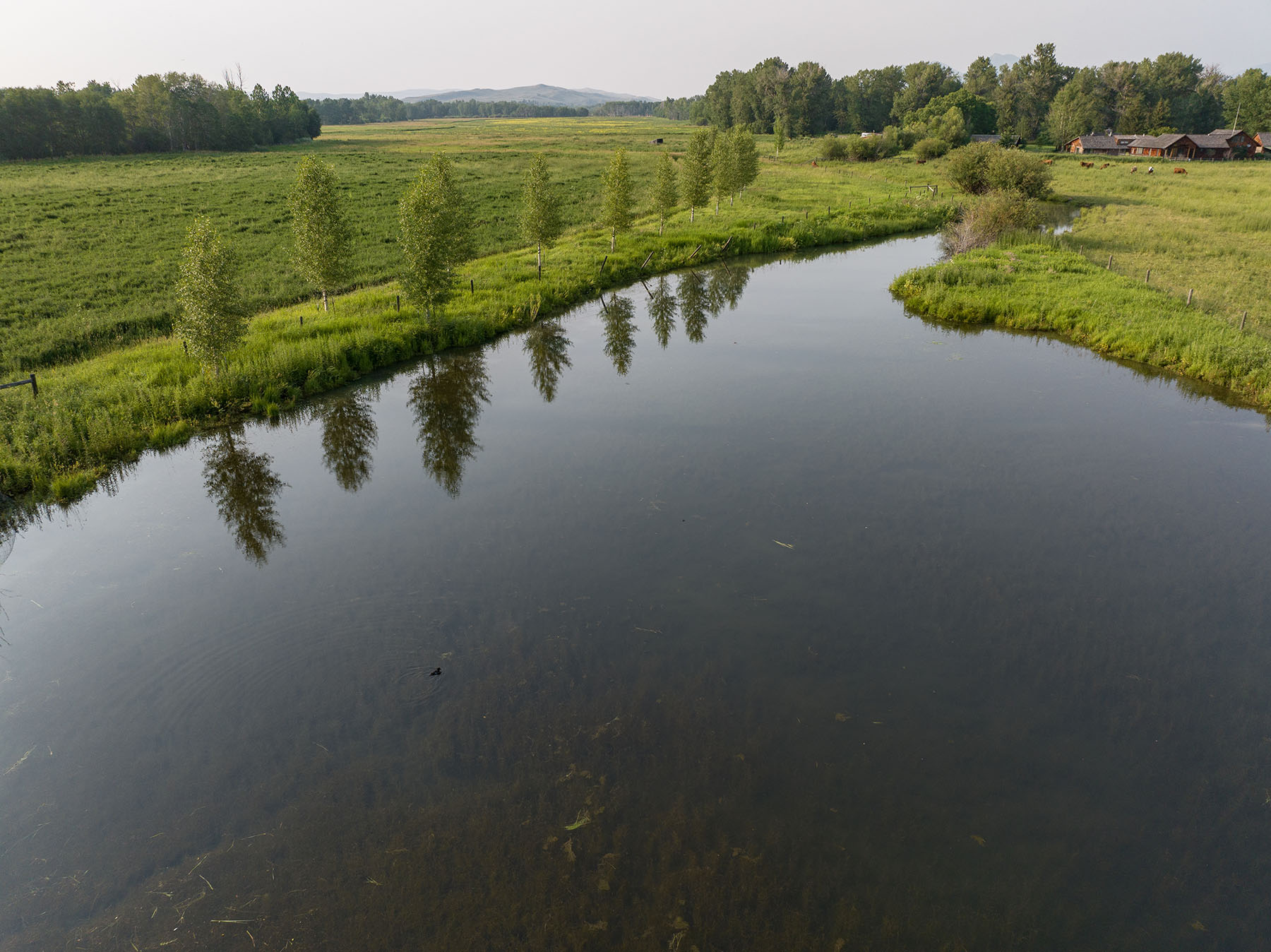 Cole Creek Homestead property picture 3 of 26