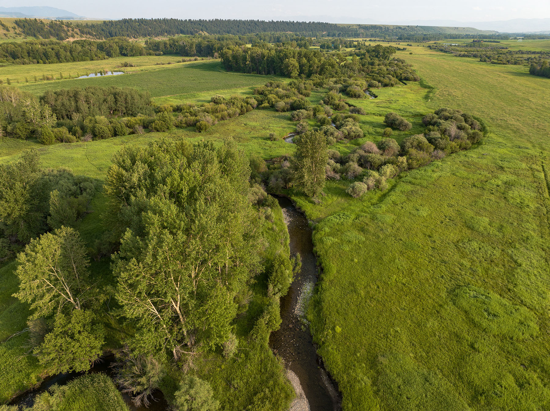 Cole Creek Homestead property picture 21 of 26