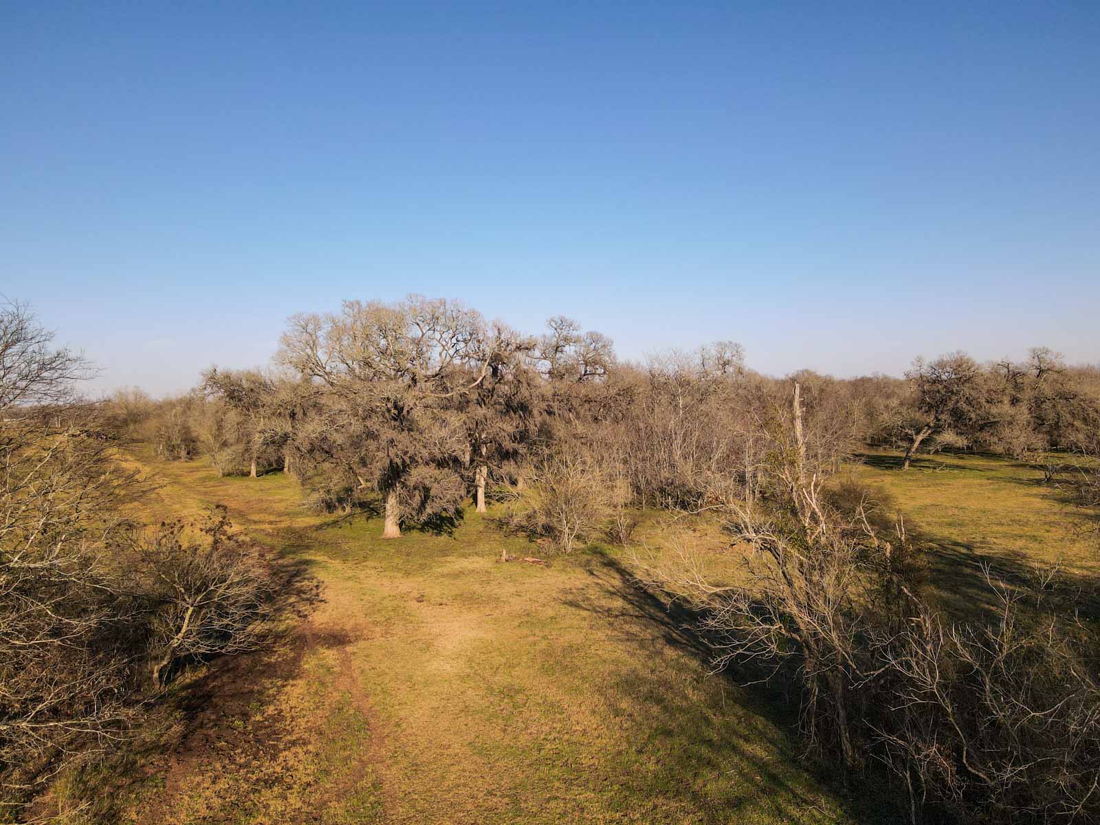 Ranch on Irons Creek property picture 17 of 28