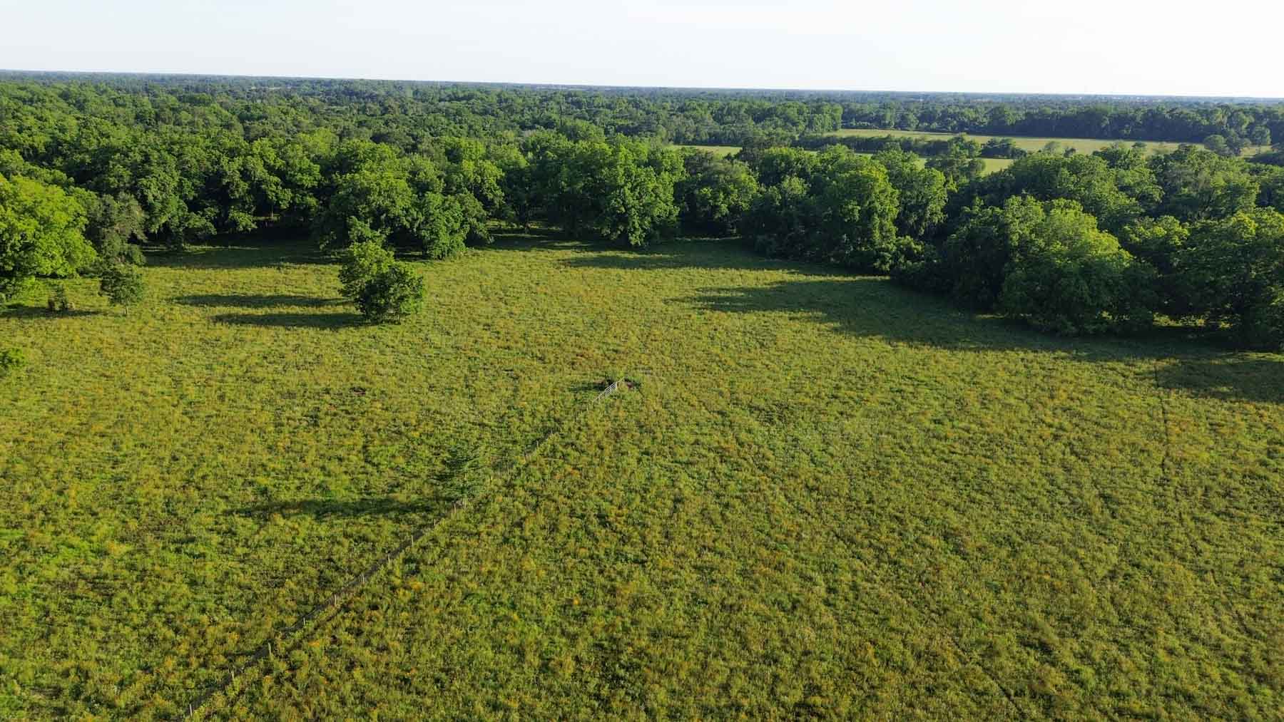 Ranch on Irons Creek property picture 31 of 42