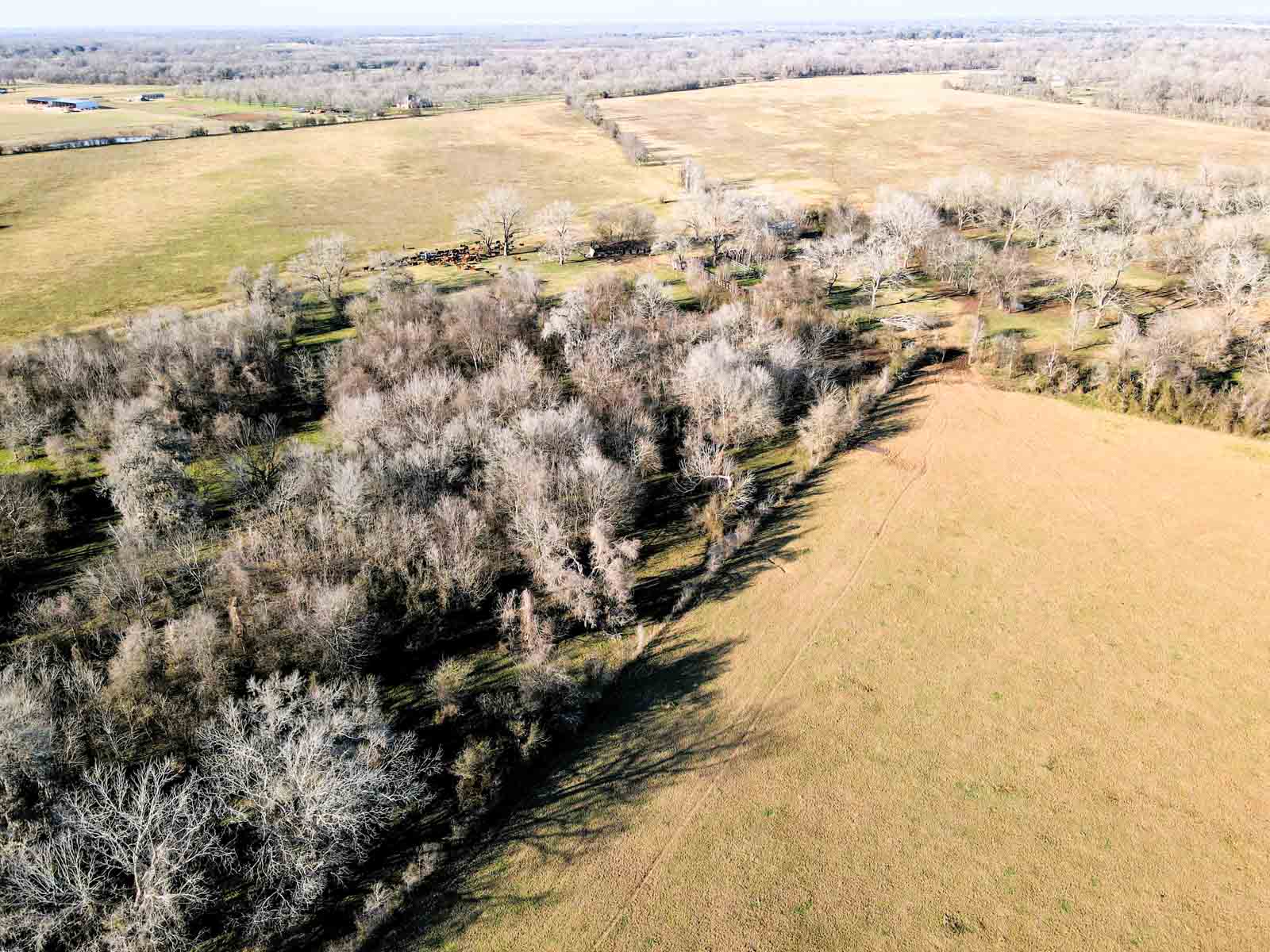 Ranch on Irons Creek property picture 39 of 42