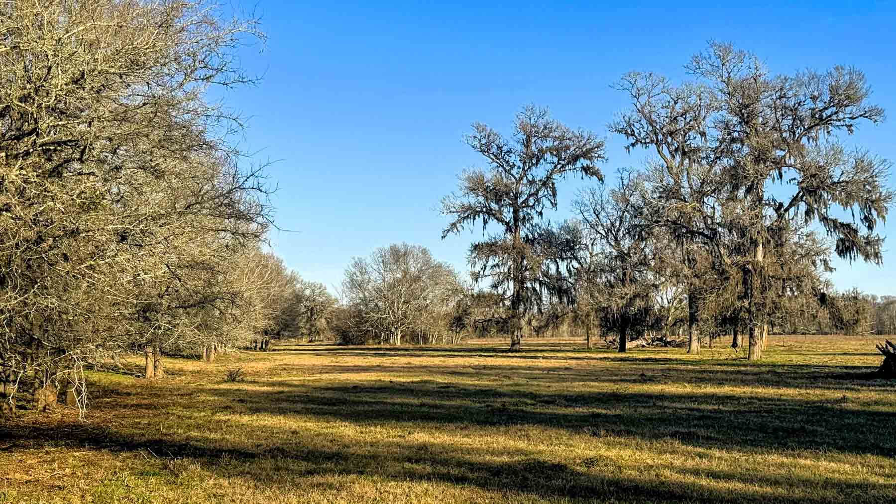 Ranch on Irons Creek property picture 21 of 28