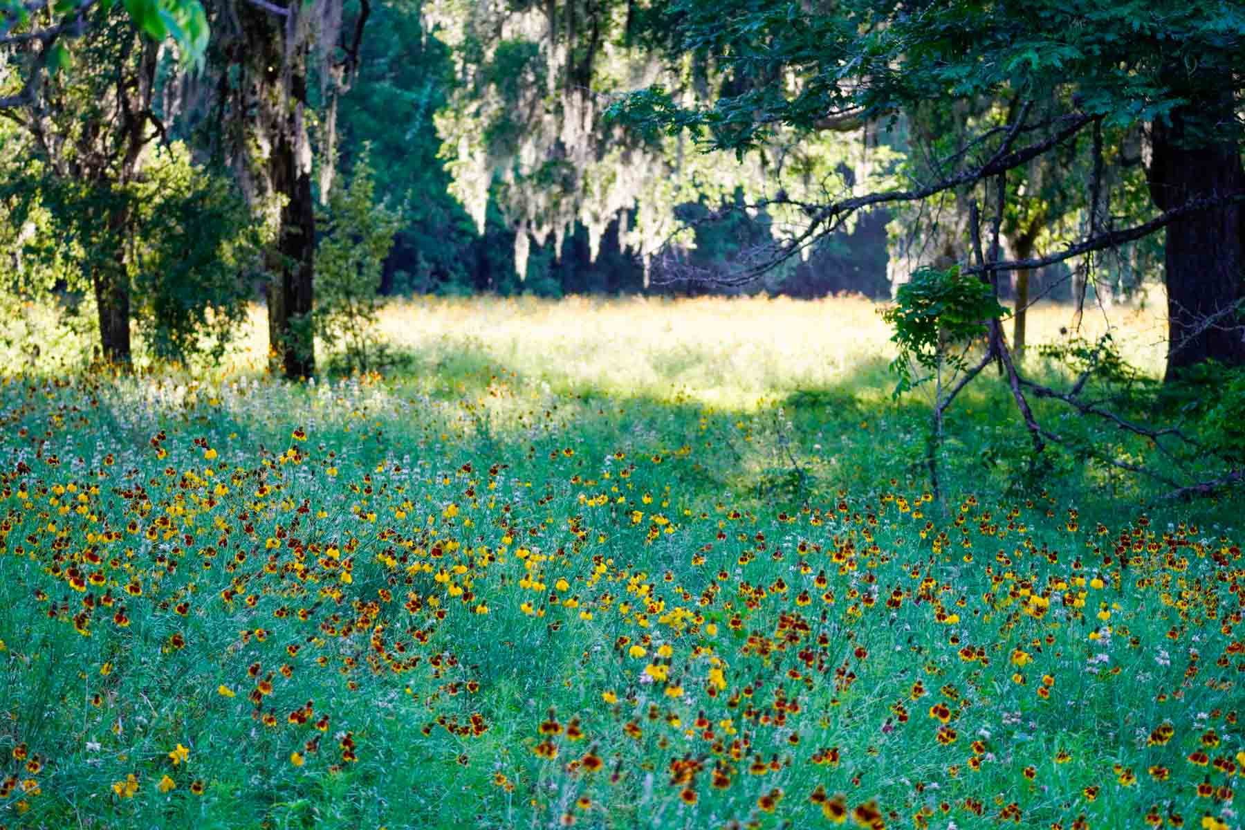 Ranch on Irons Creek property picture 14 of 42