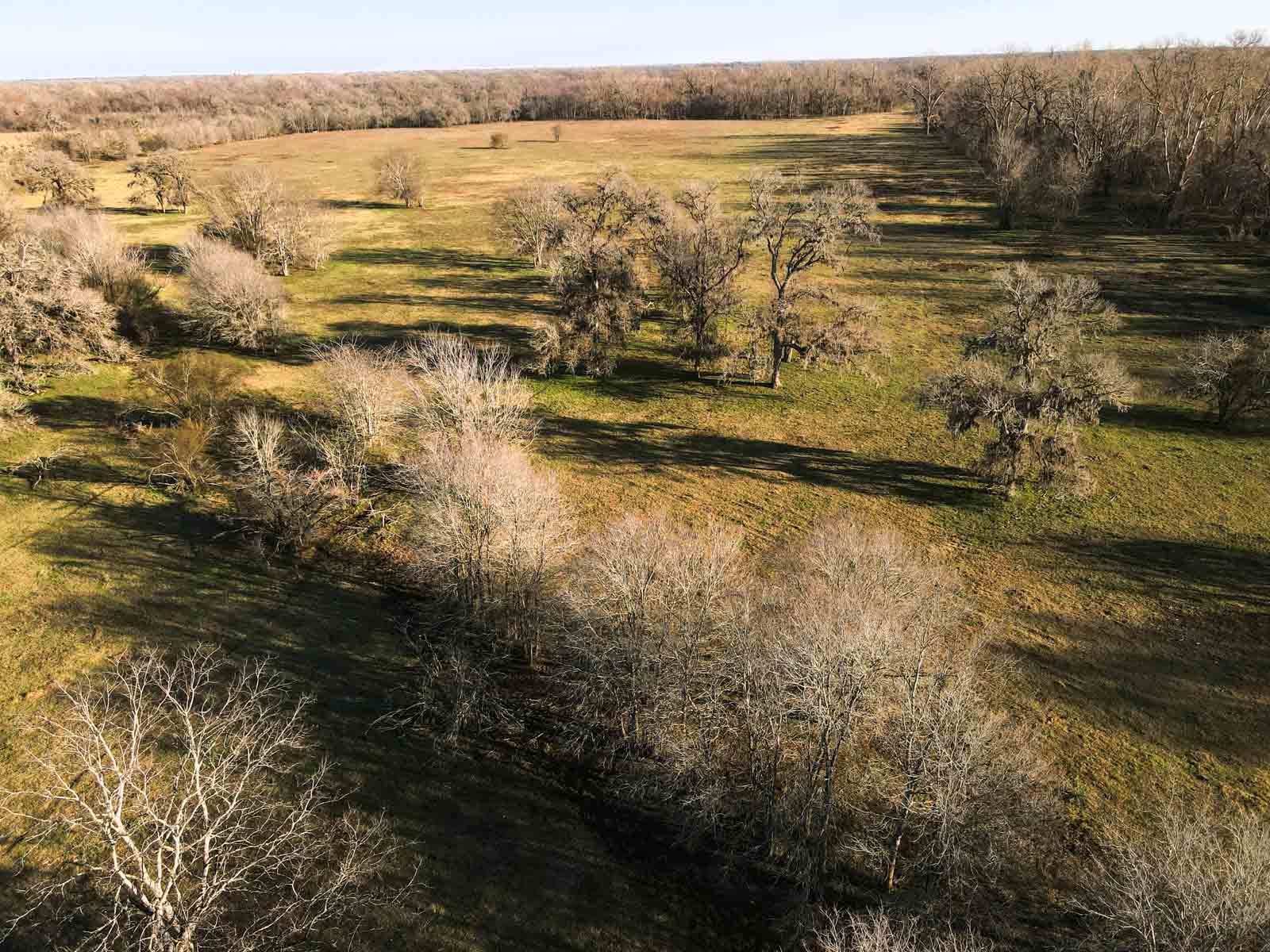 Ranch on Irons Creek property picture 41 of 42