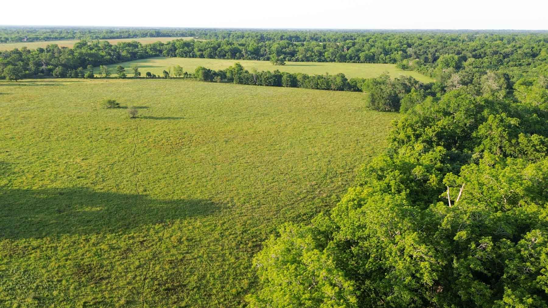 Ranch on Irons Creek property picture 36 of 42