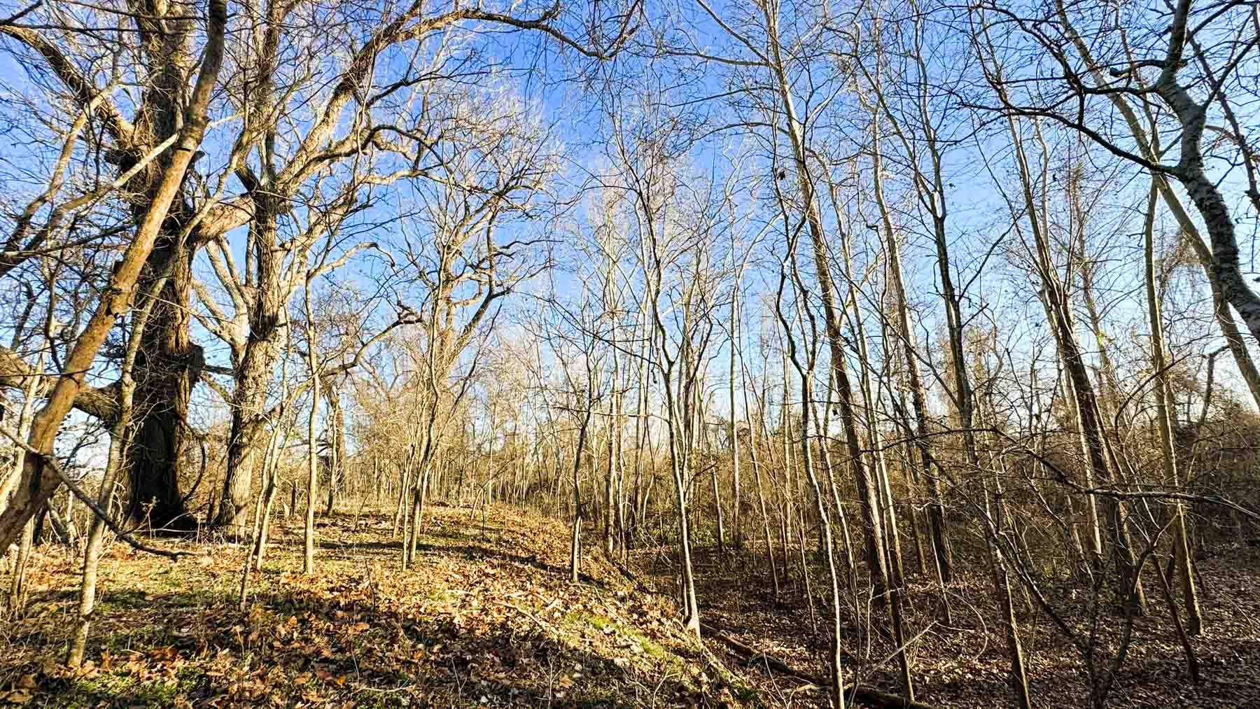 Ranch on Irons Creek property picture 22 of 28