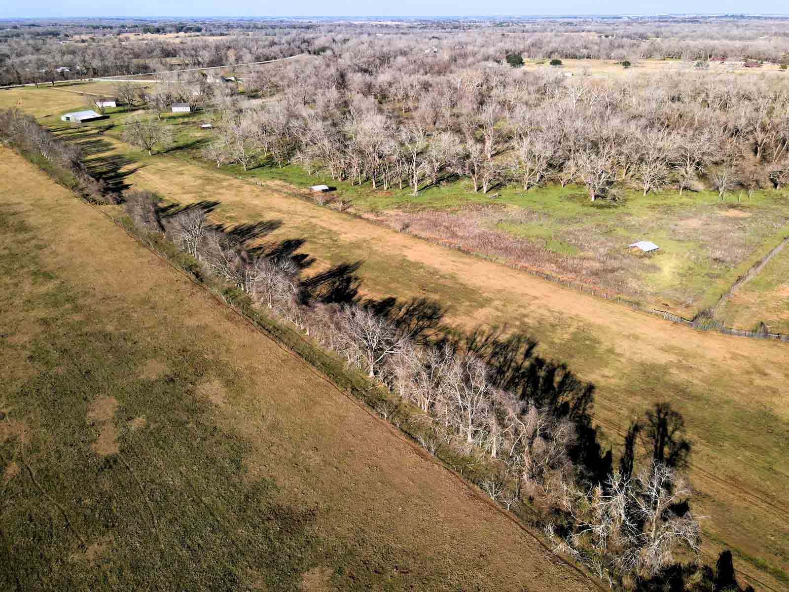 Ranch on Irons Creek property picture 14 of 28